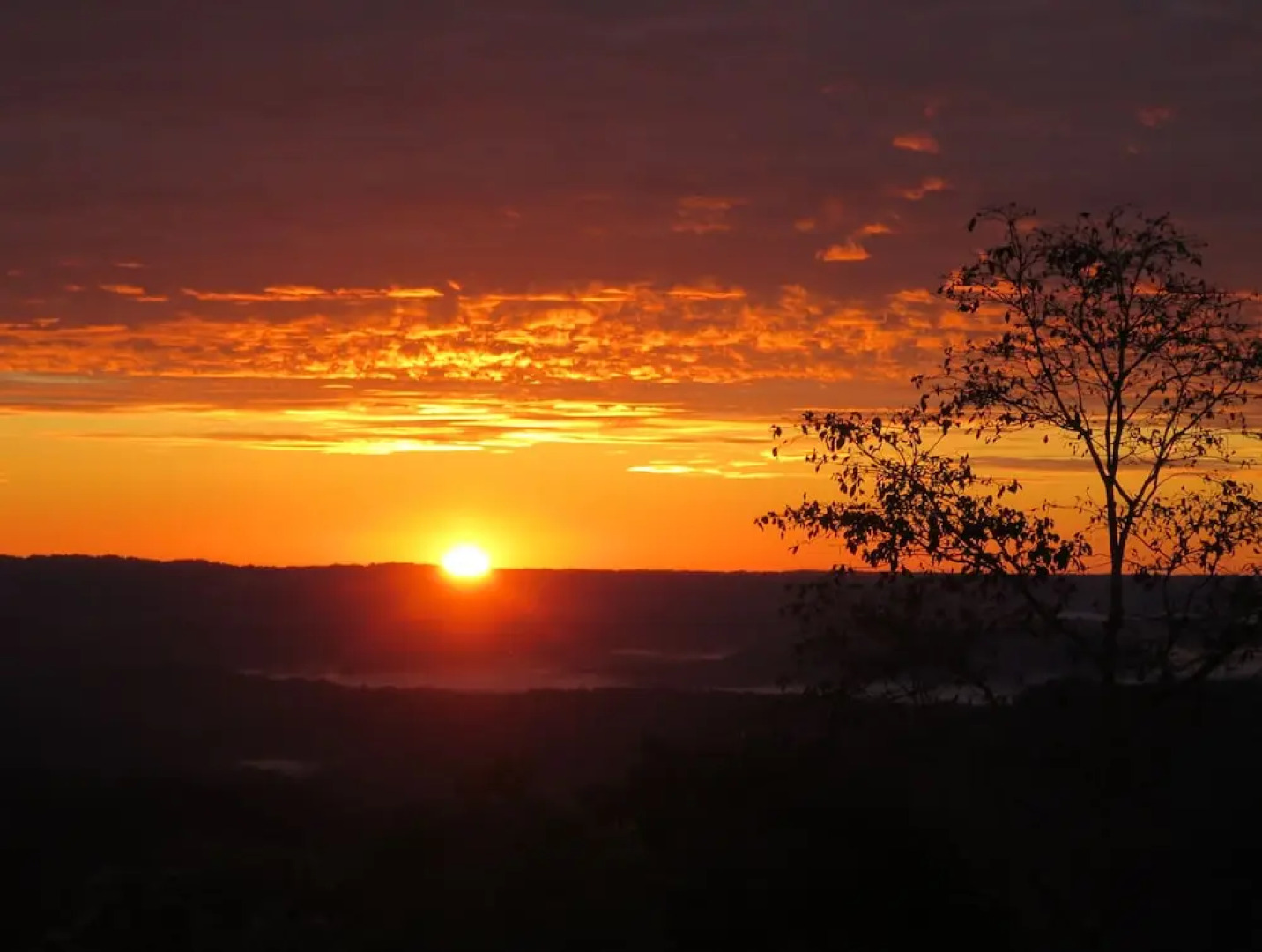 Heimatlos Rainforest Lodge
