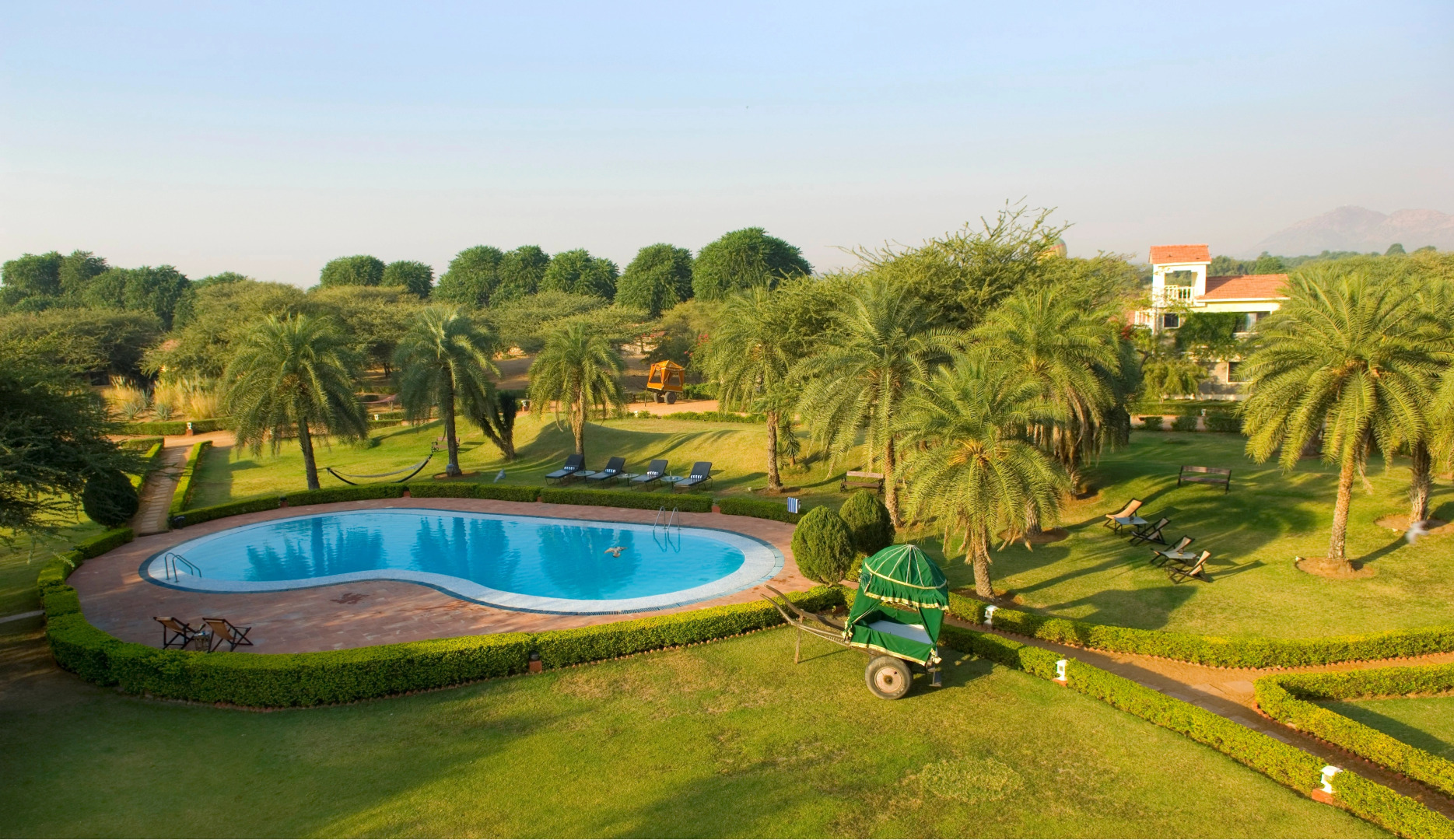 Clarks Safari Pushkar