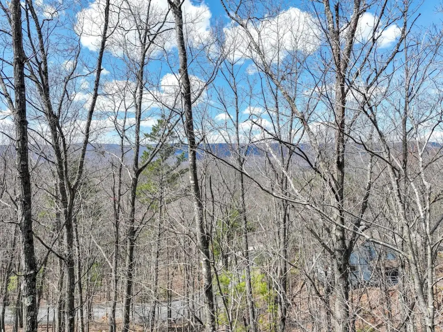 Pet-friendly Basye Vacation Rental w/ Fireplace!