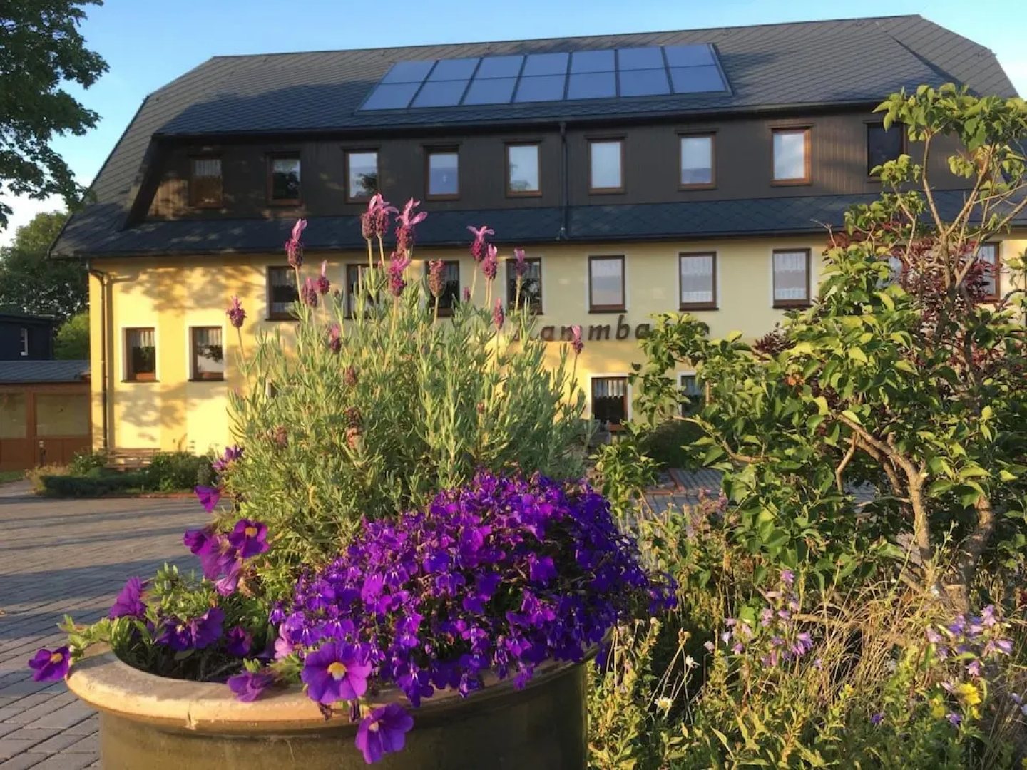 Hotel Dachsbaude & Kammbaude