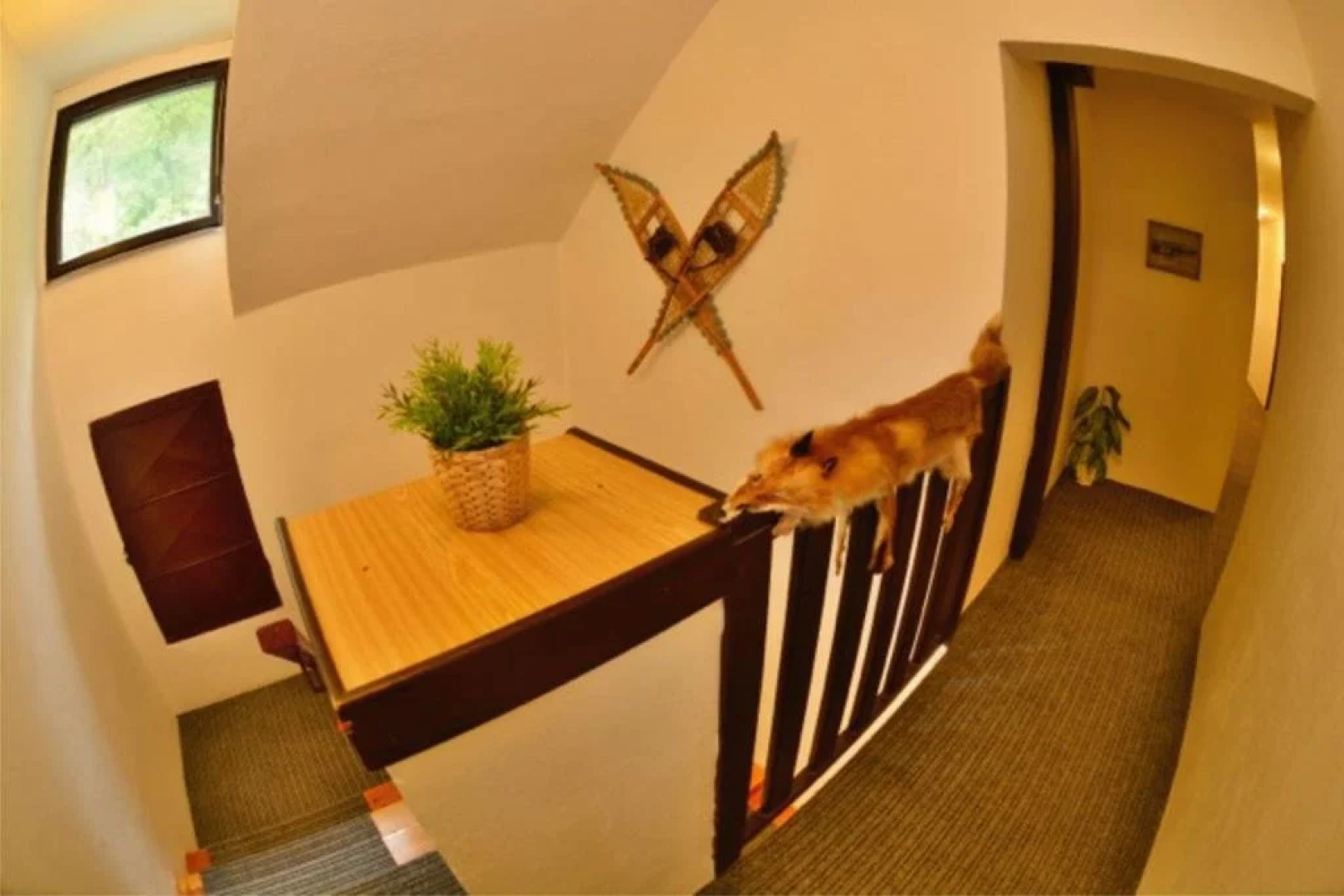 Penzion & Restaurant Pod Čerťákem