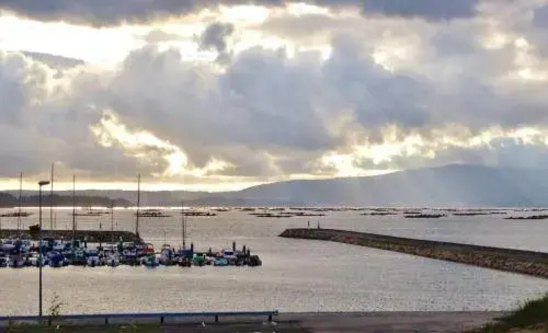 Apartamentos Puerto Basella