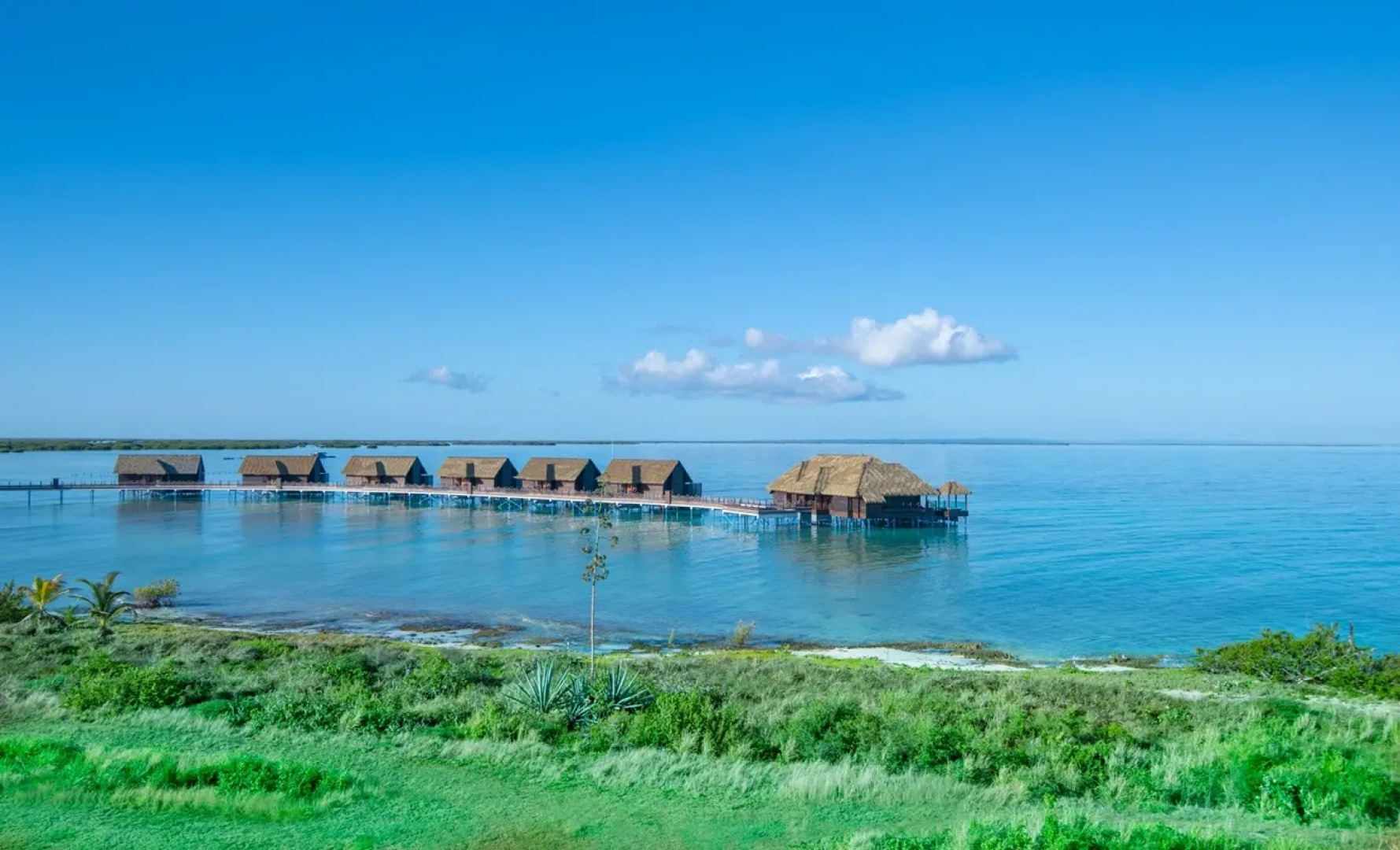 Playa Luxury Cayo Guillermo