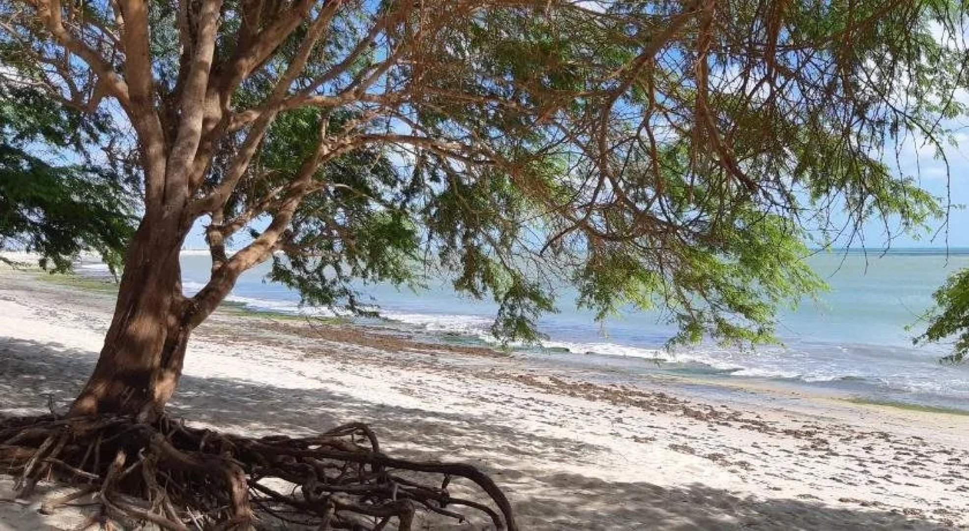 Pousada Caravelas do Gostoso