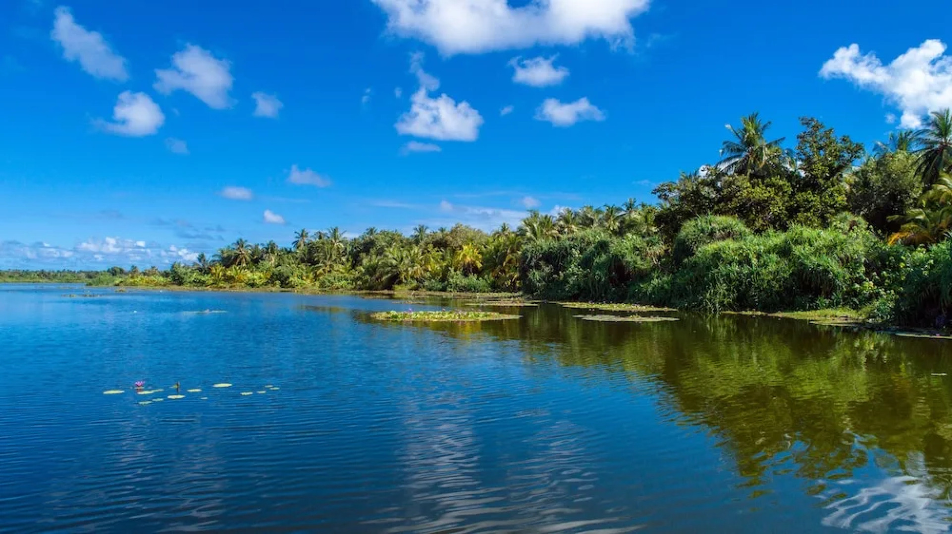 Veyli Residence Maldives
