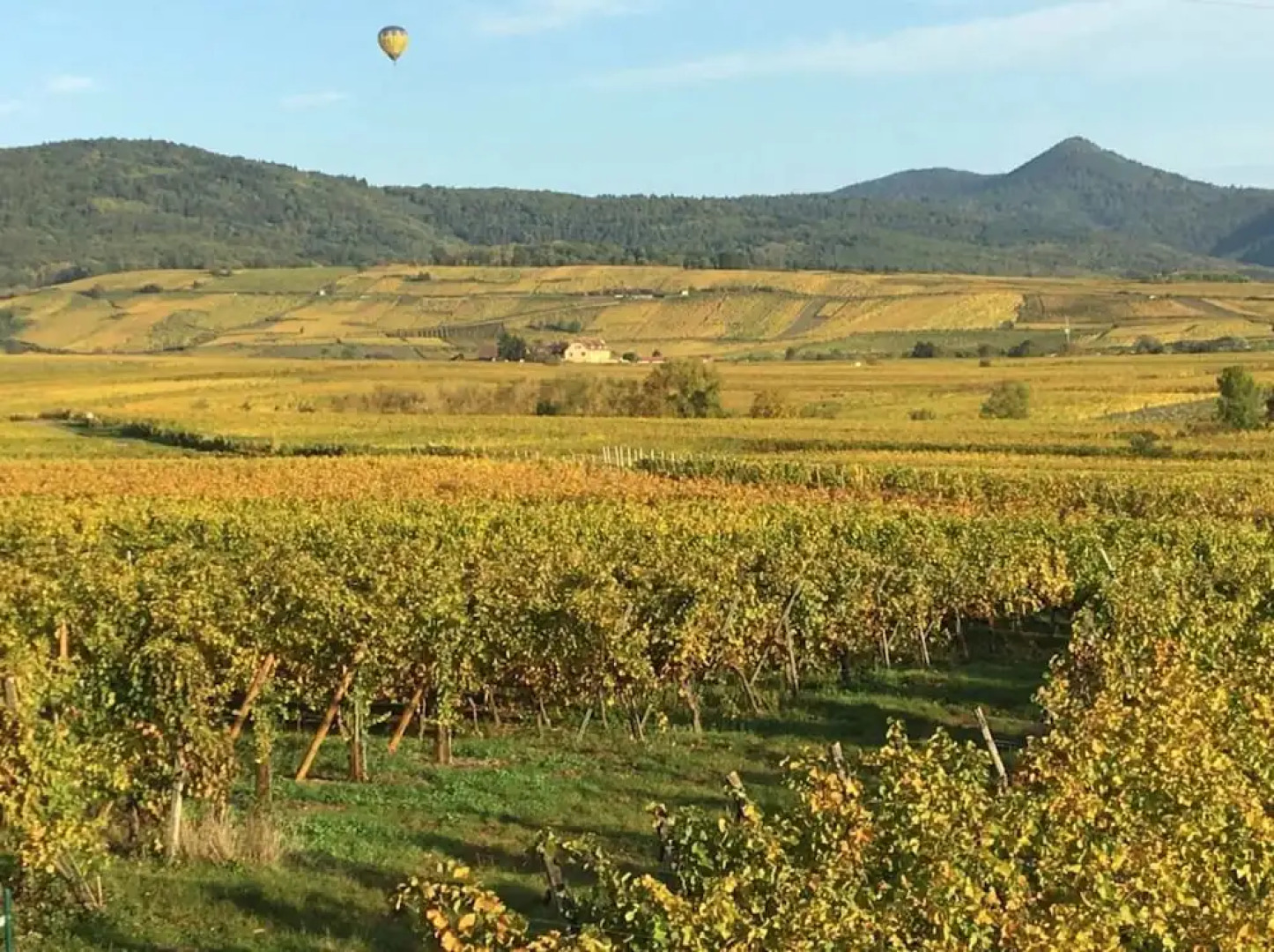 Gîtes Au Domaine Greiner