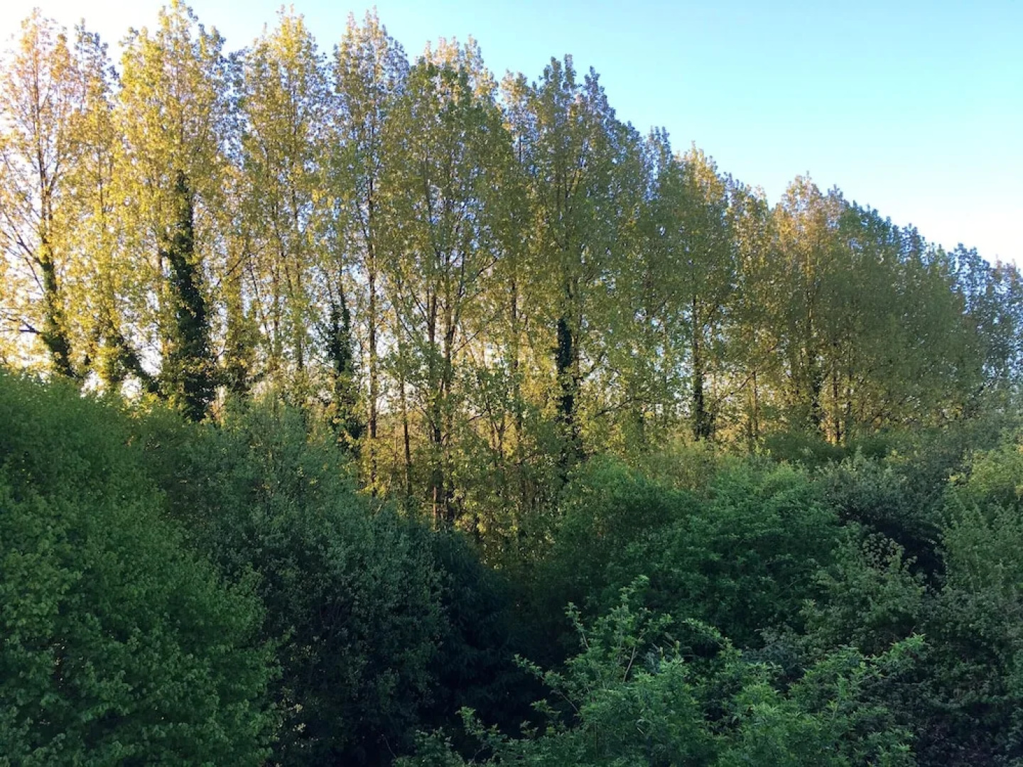 House With one Bedroom in Plounérin, With Pool Access, Furnished Garde