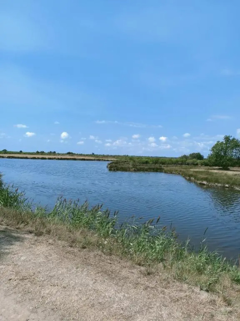 Joli Appartement Audenge