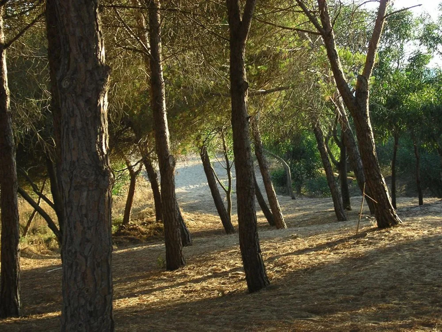 Hotel Ristorante Vittoria