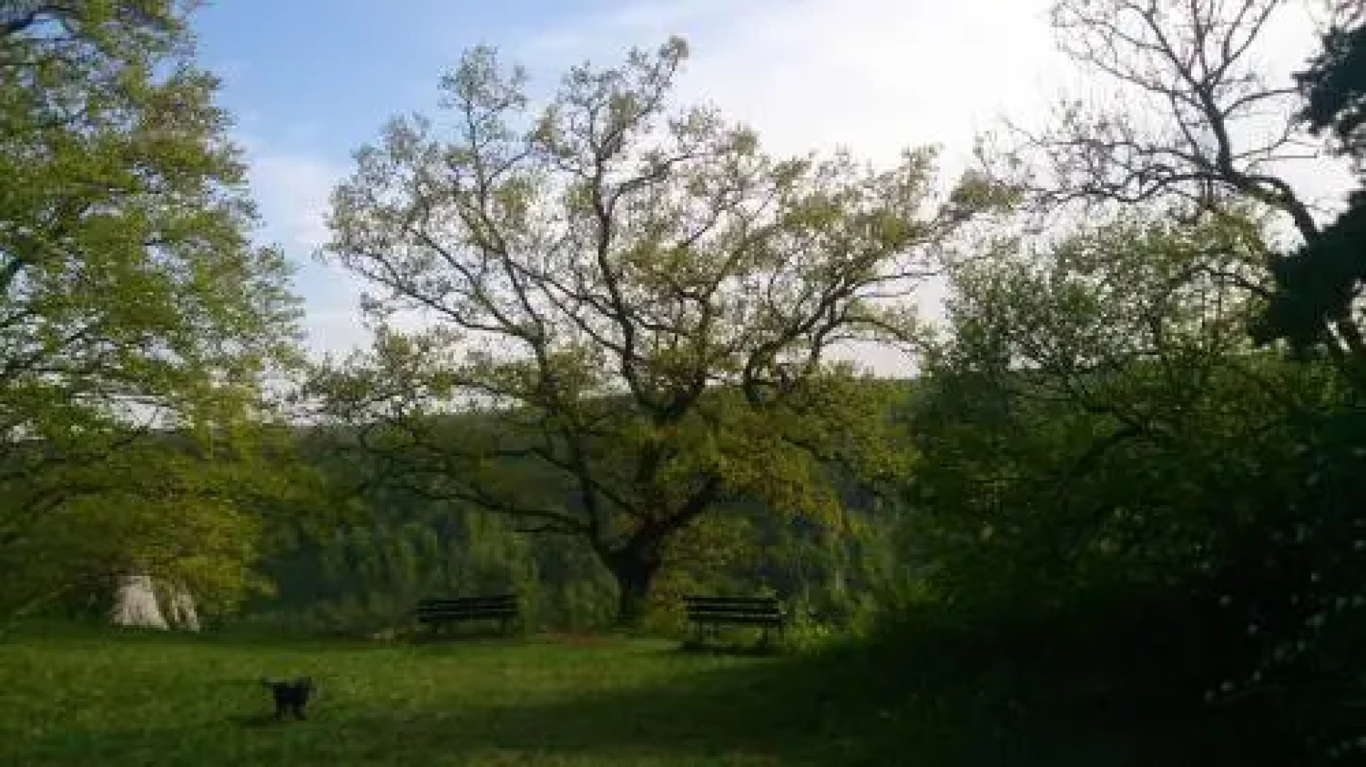 Berghaus Knopfmacher