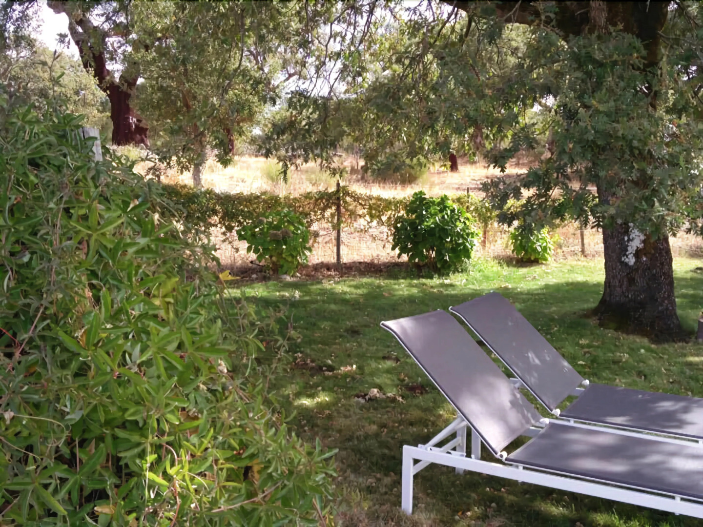 Vigias - Eternal Landscapes