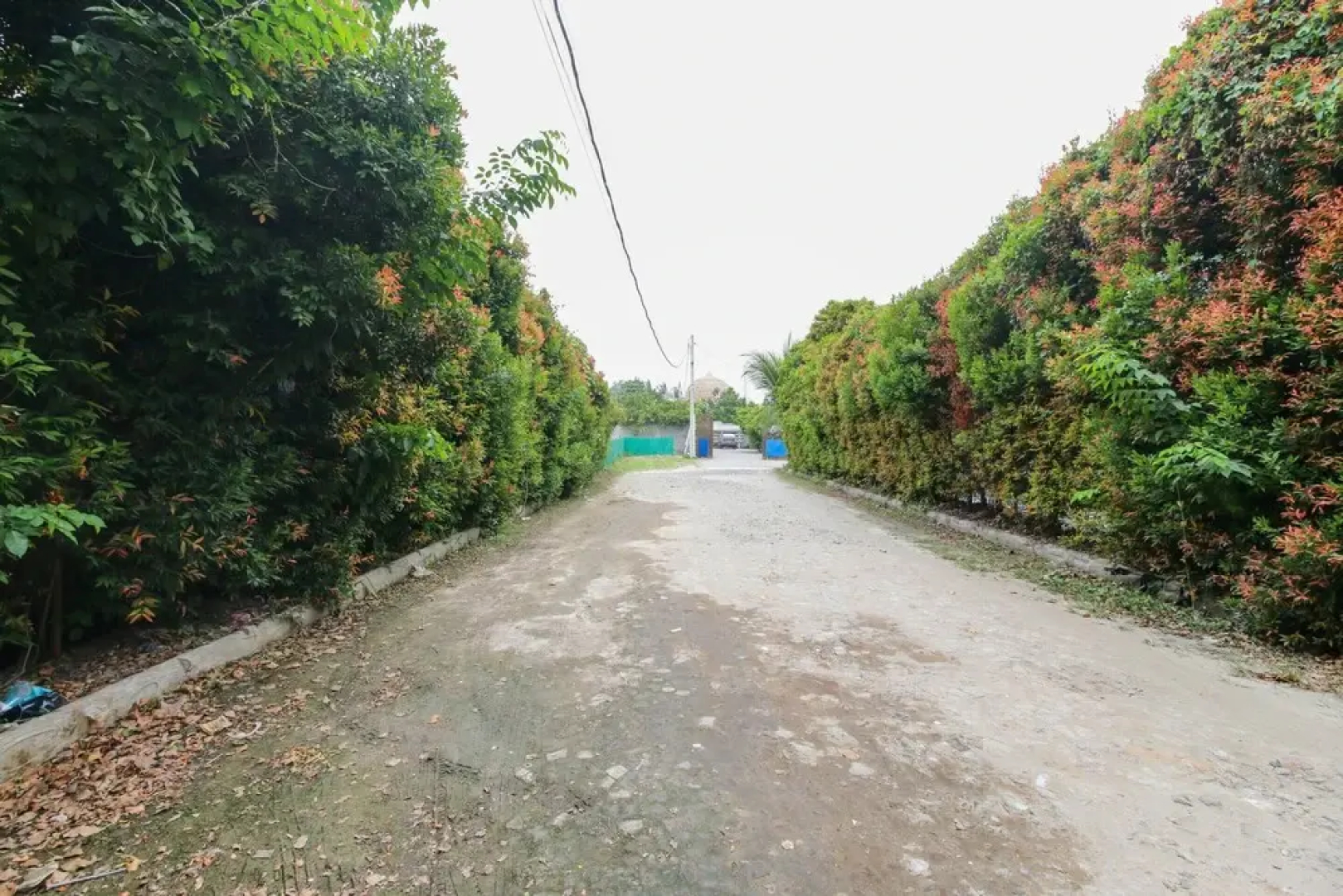 Airy Pondok Cilegon Indah C17