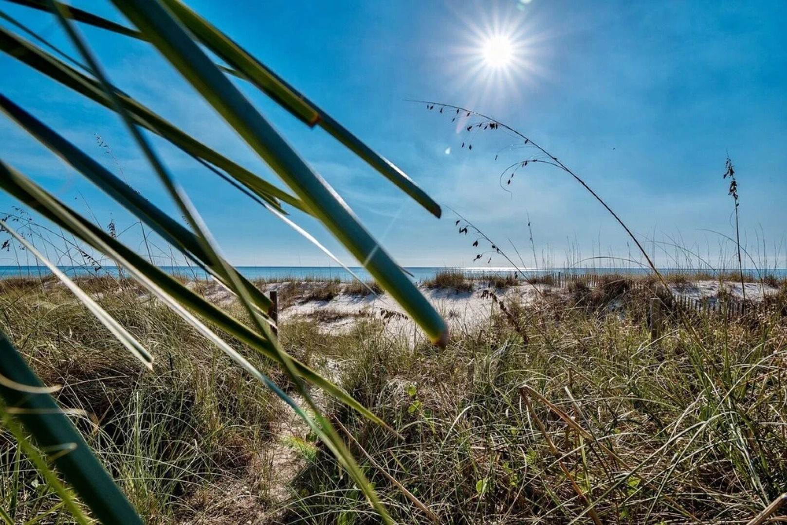 Gojo Getaway - 627851