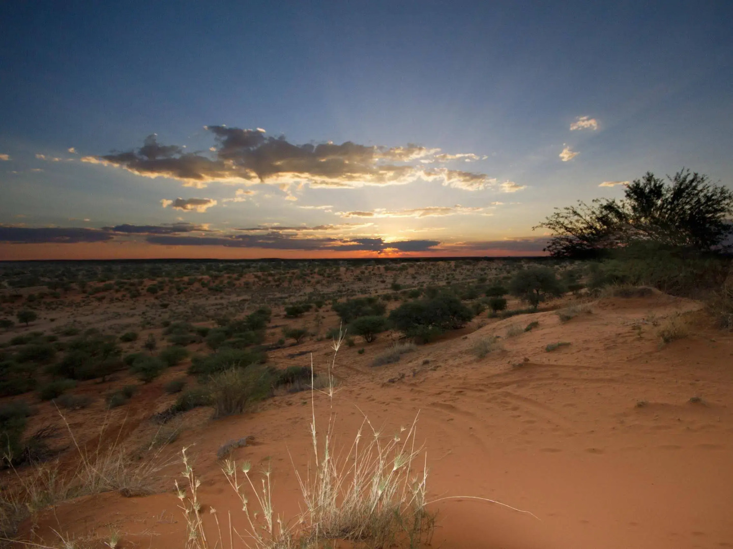 Lapa Lange Game Lodge