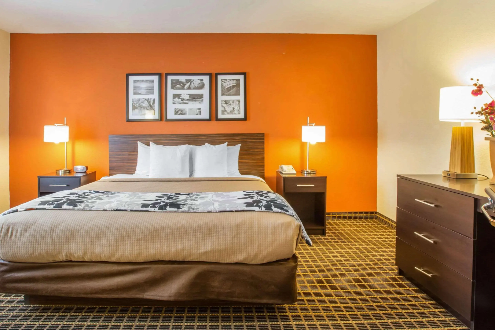 Sleep Inn & Suites Valdosta Mall Area