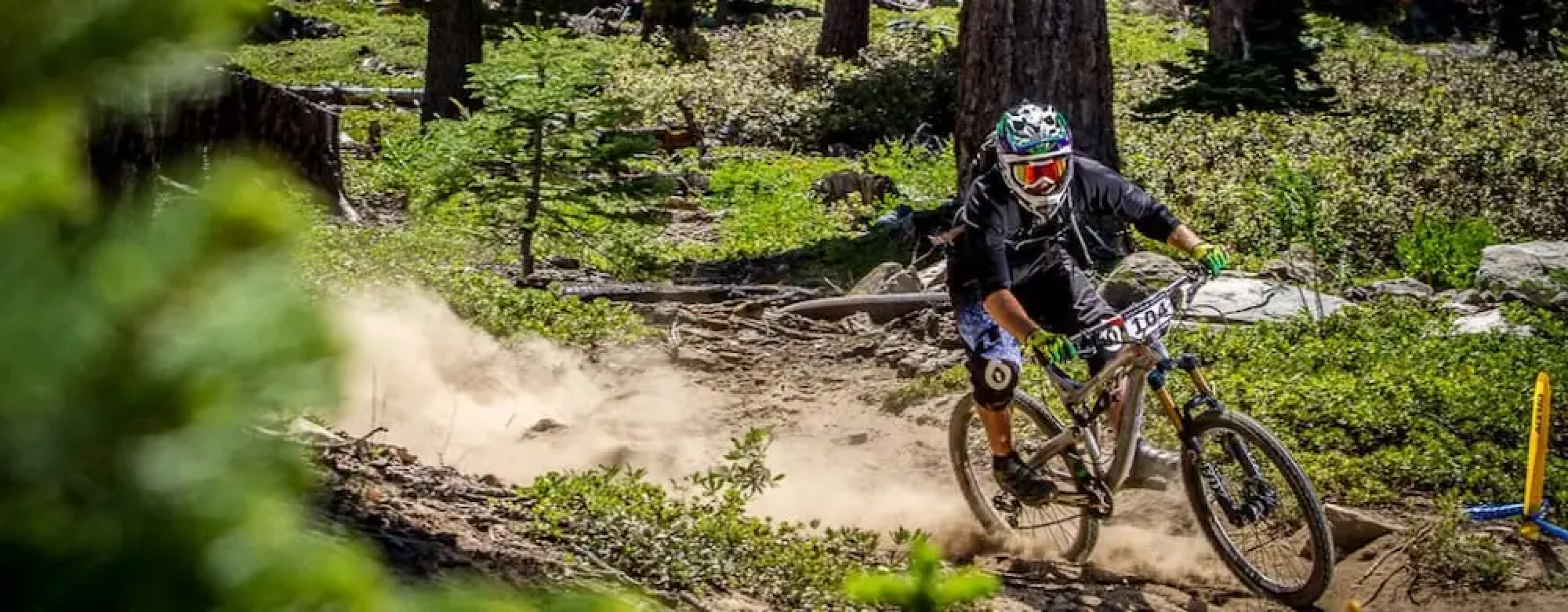 Huntington Lake Resort - Campsite