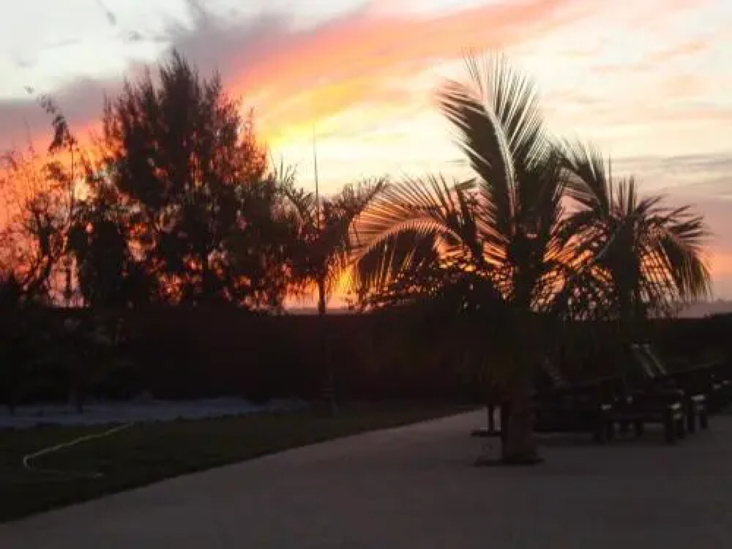 Le Clos Des Oliviers