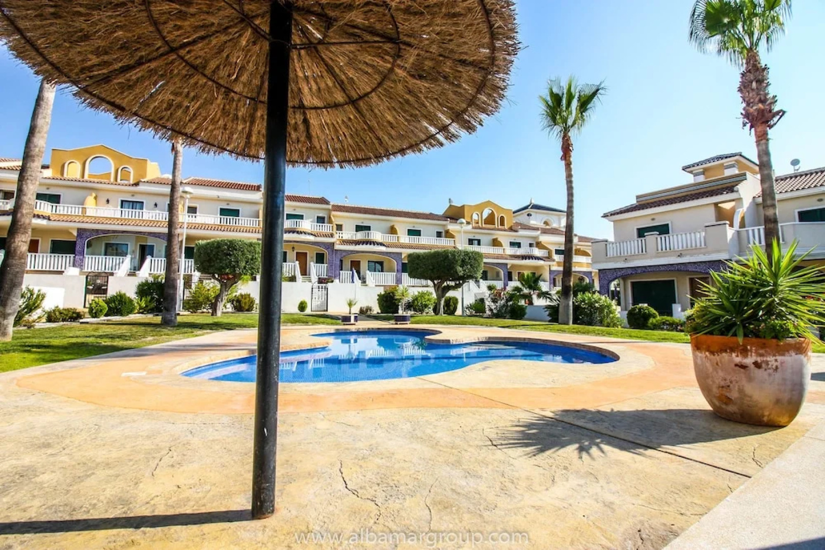 Gorgeous apartment in Albamar