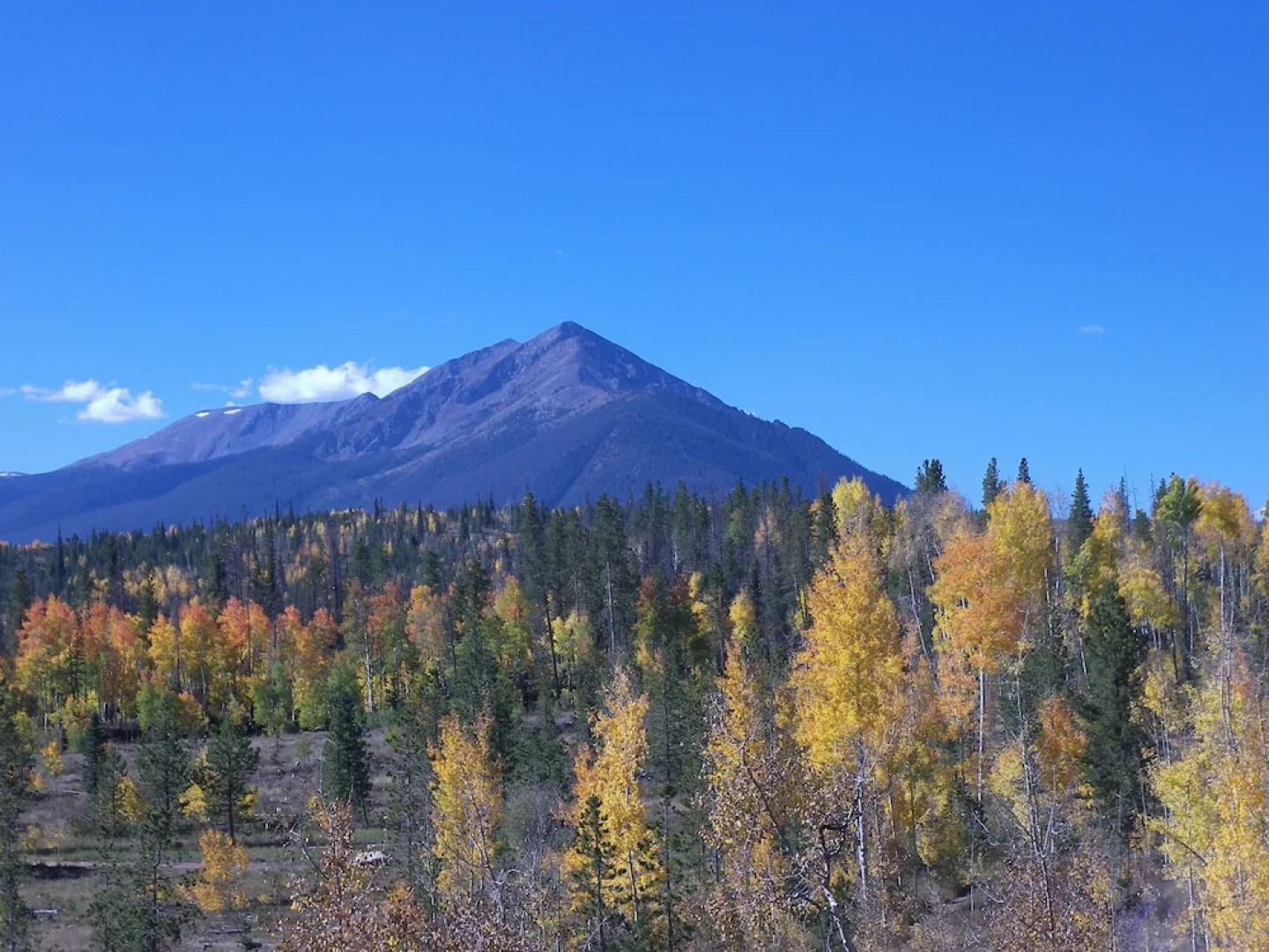 Saltlick 2 bed 2 bath 2 Br condo by RedAwning