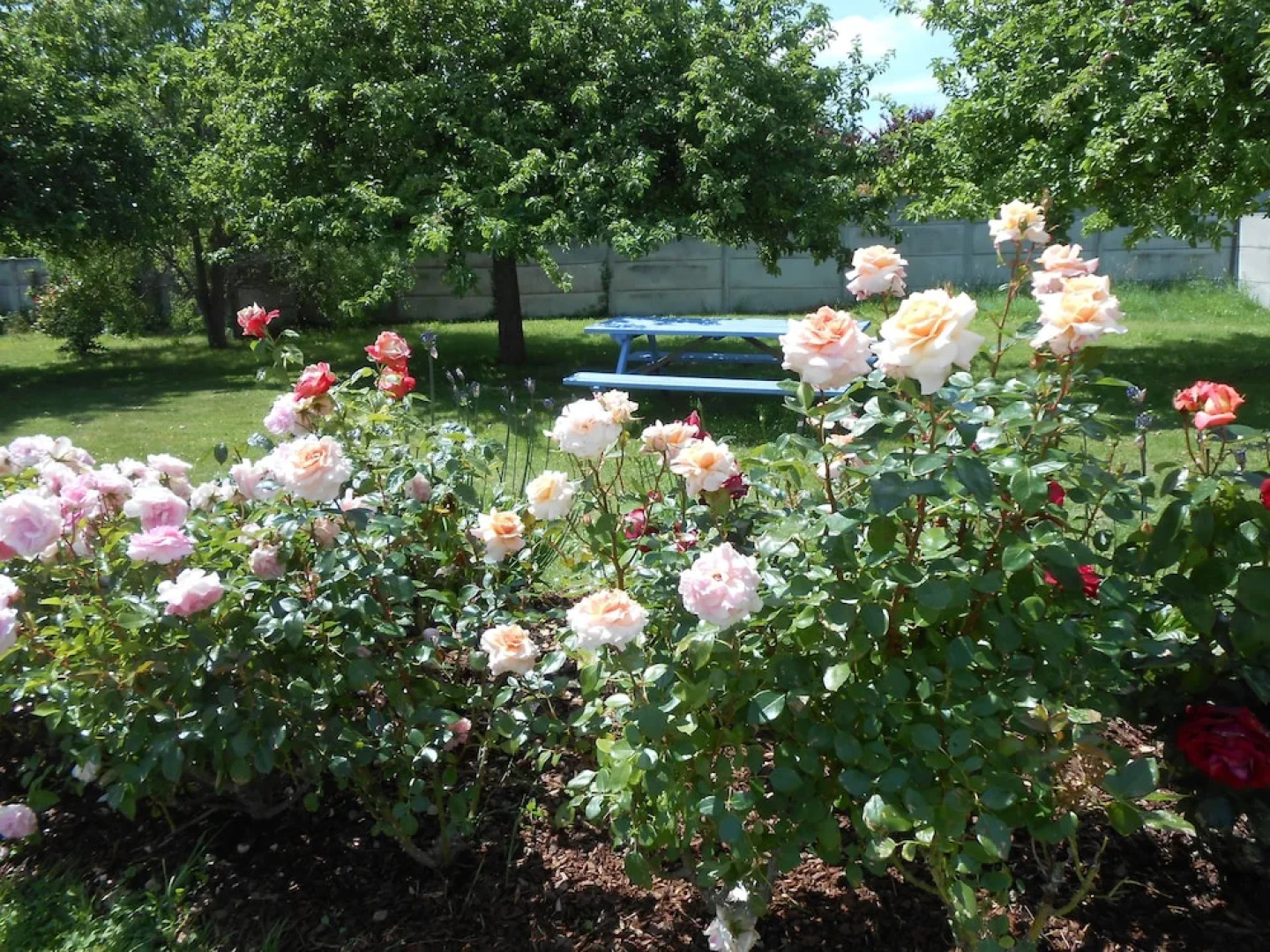 Chambres d'hôtes Le Petit Châtelet