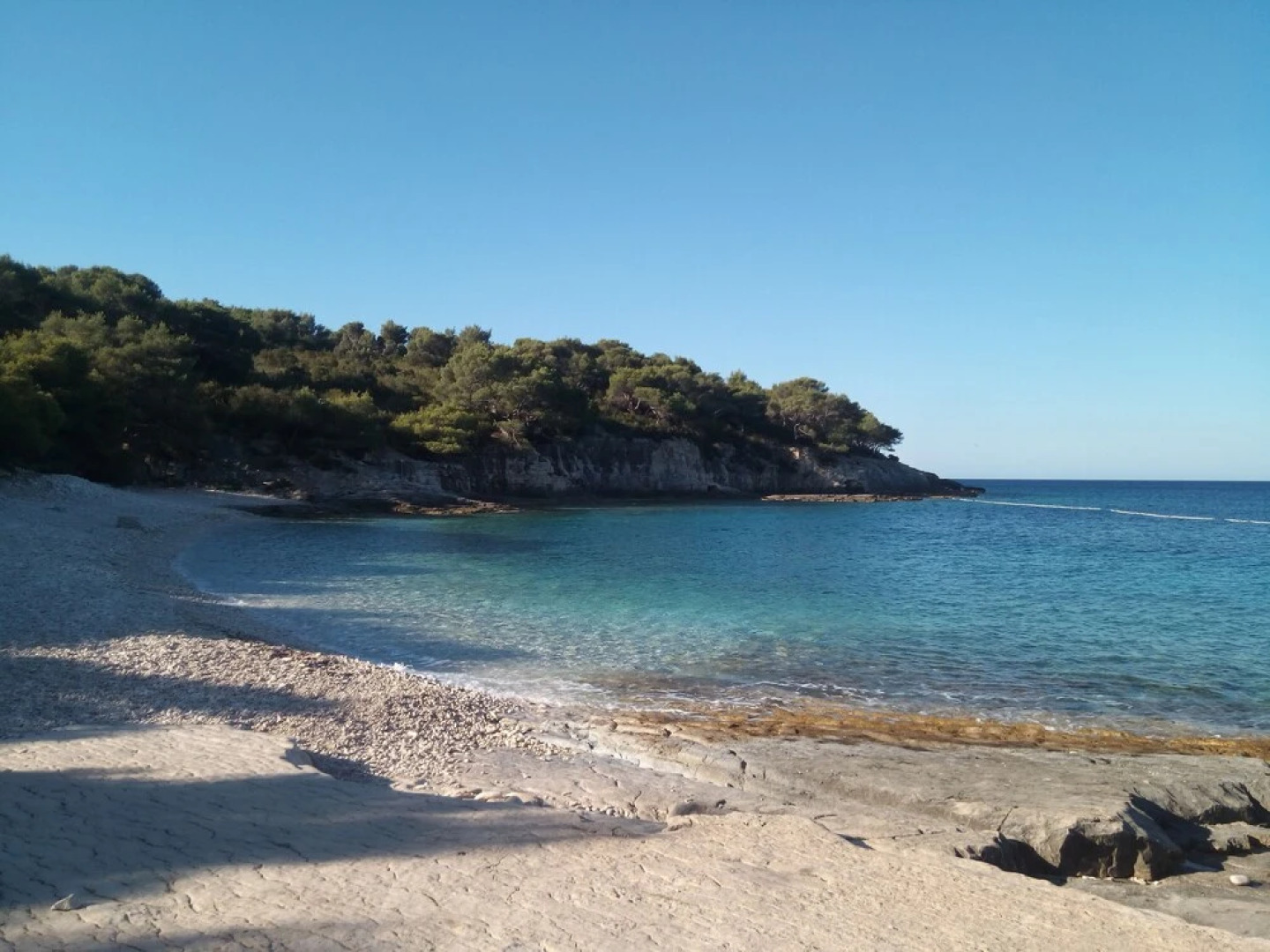 Victorious VIScovery Blue