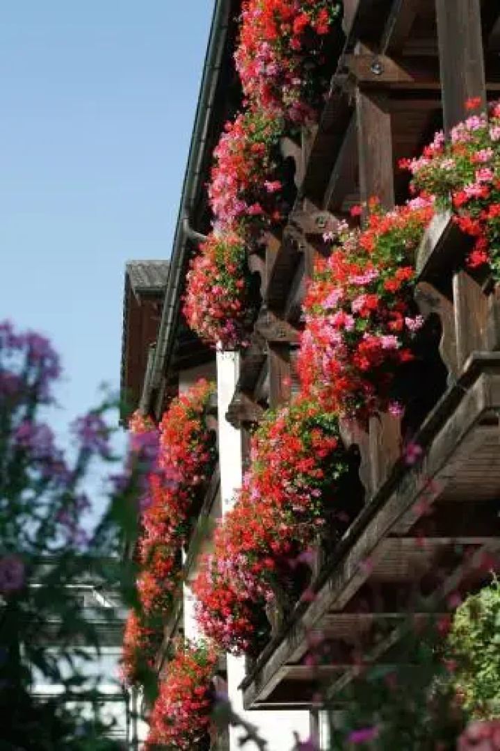Hotel Neuer am See