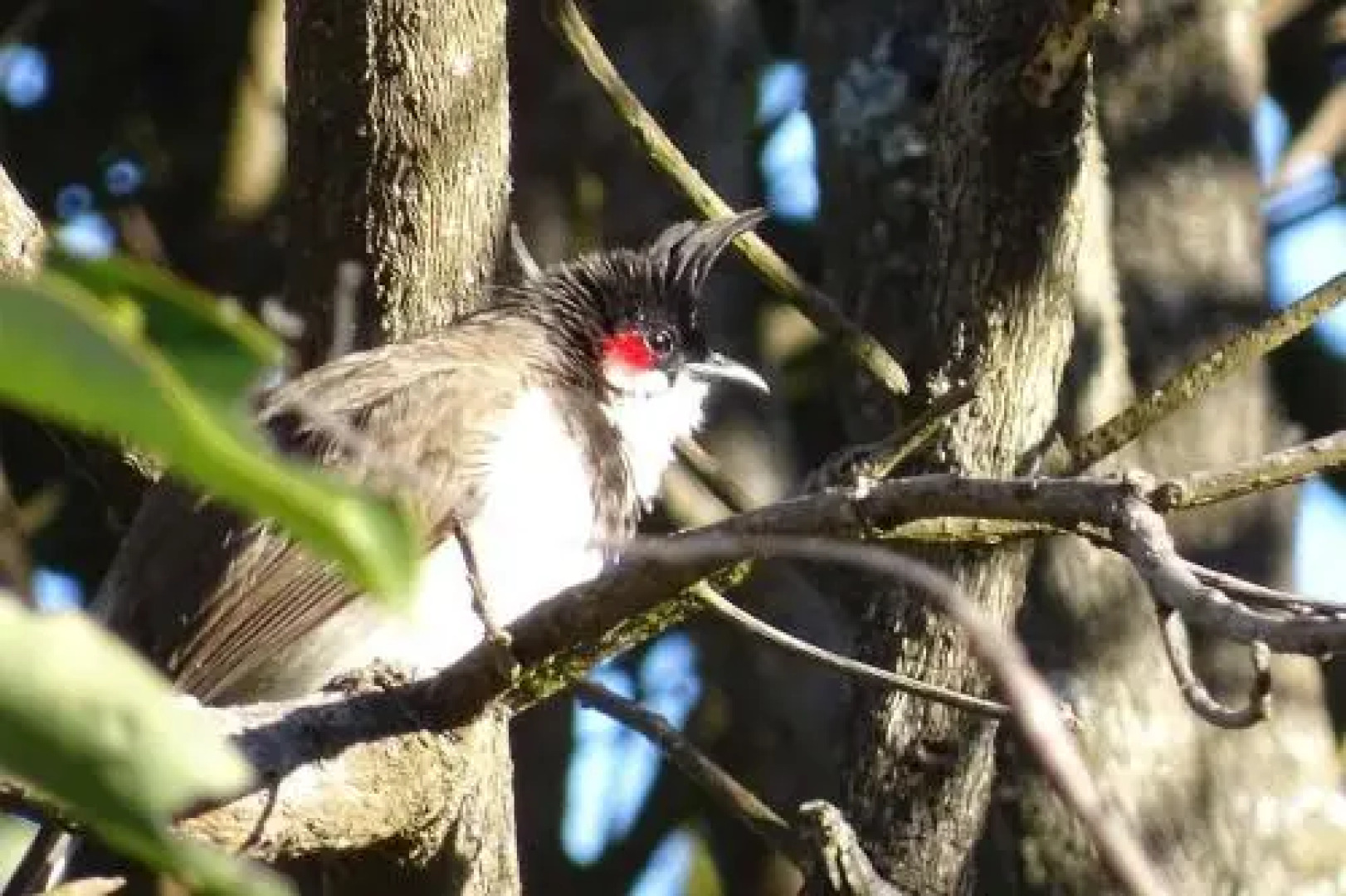 Wild Walkers by Vista Rooms