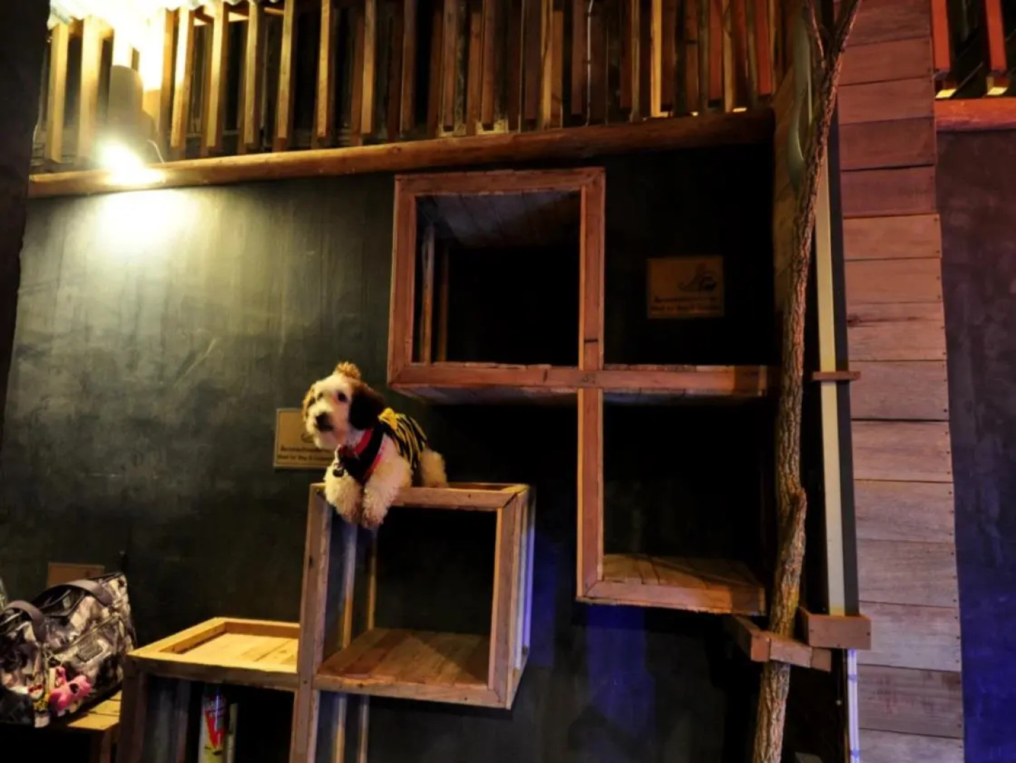 SongPhuaMia Guesthouse