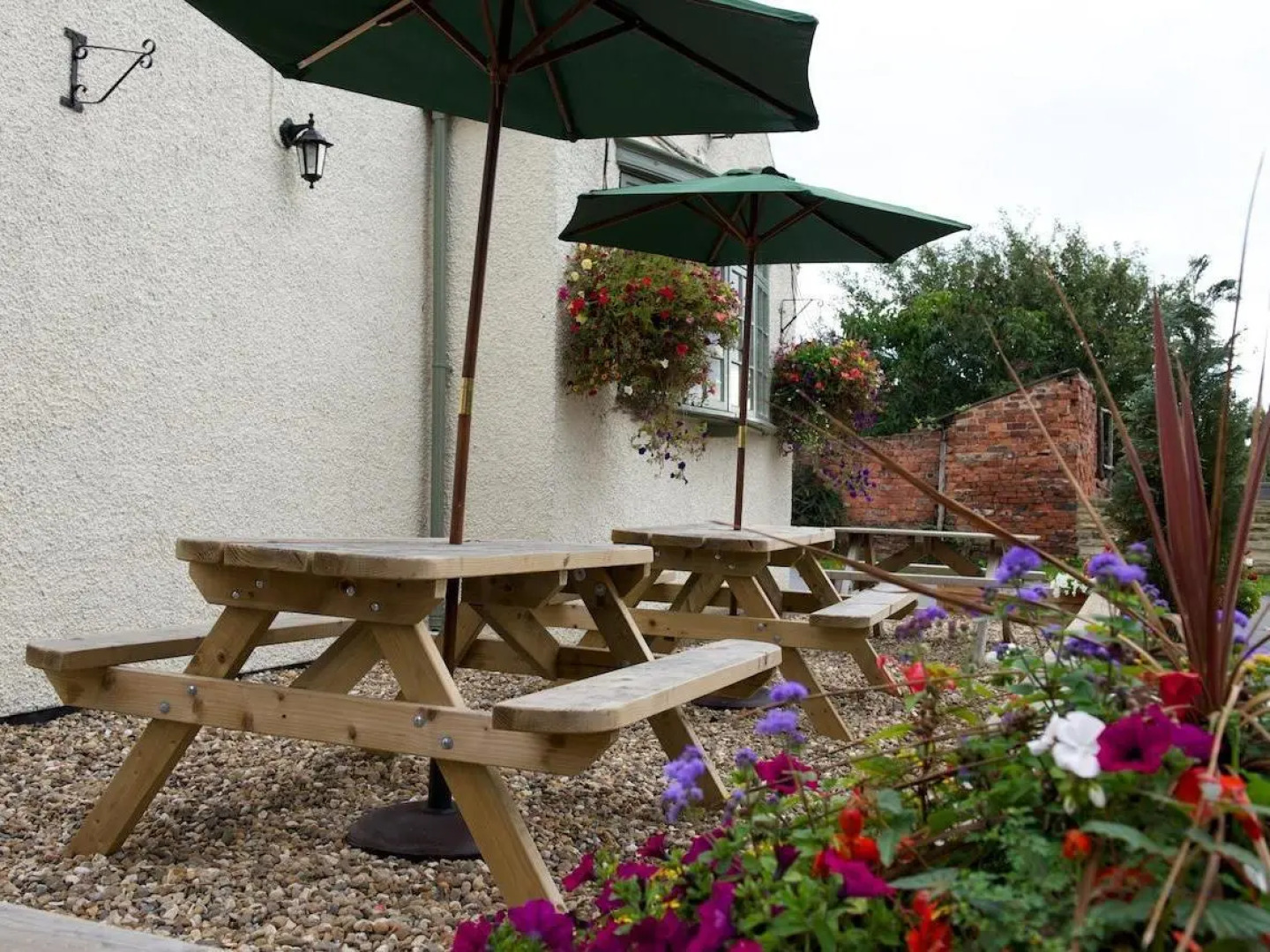 The Wellington Heifer