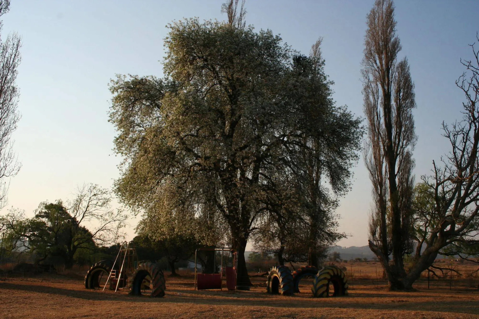 High Side Tavern and Planters Lodge