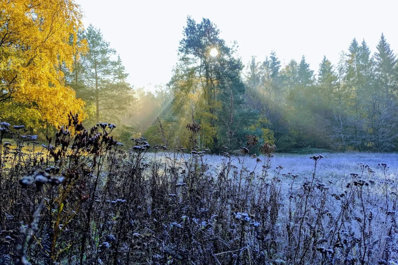 Apartment in historischem Gebäude