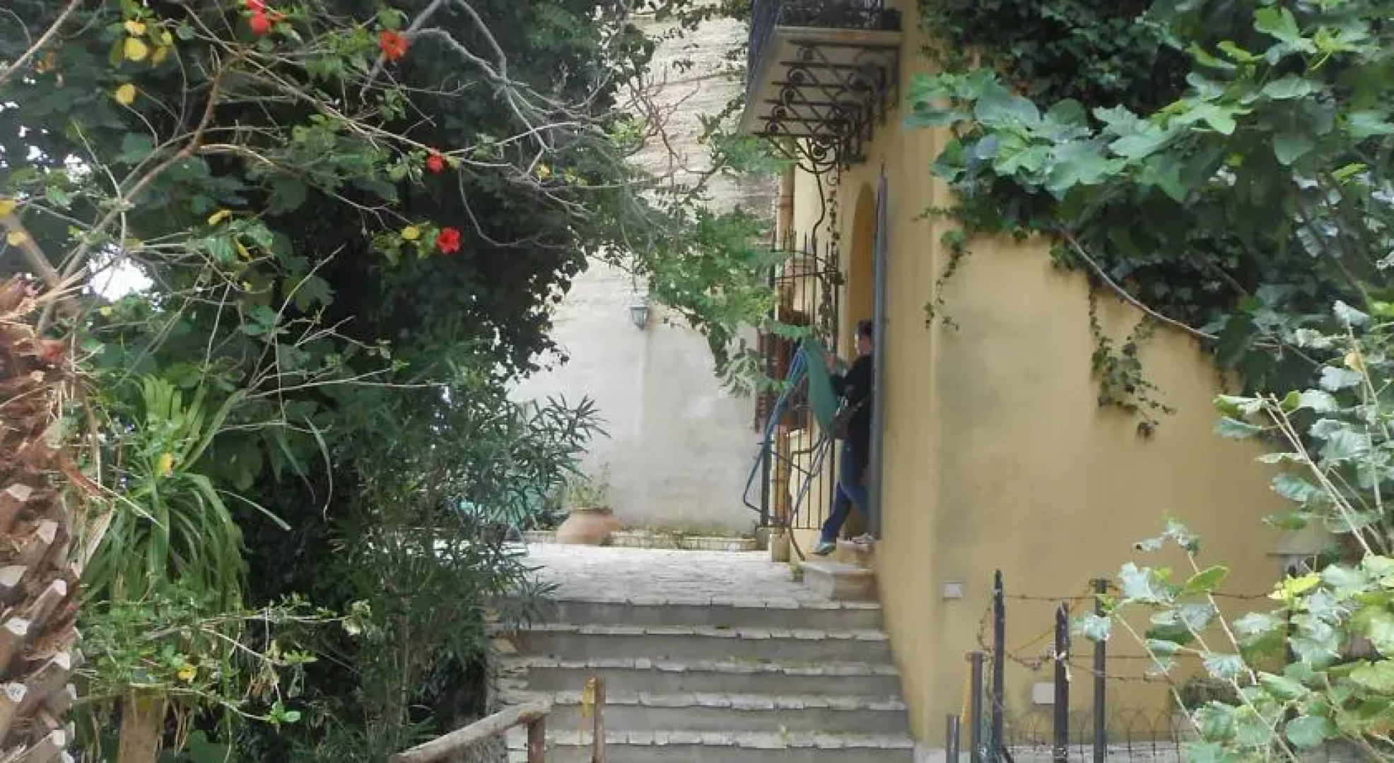 Terrazza sul Porto
