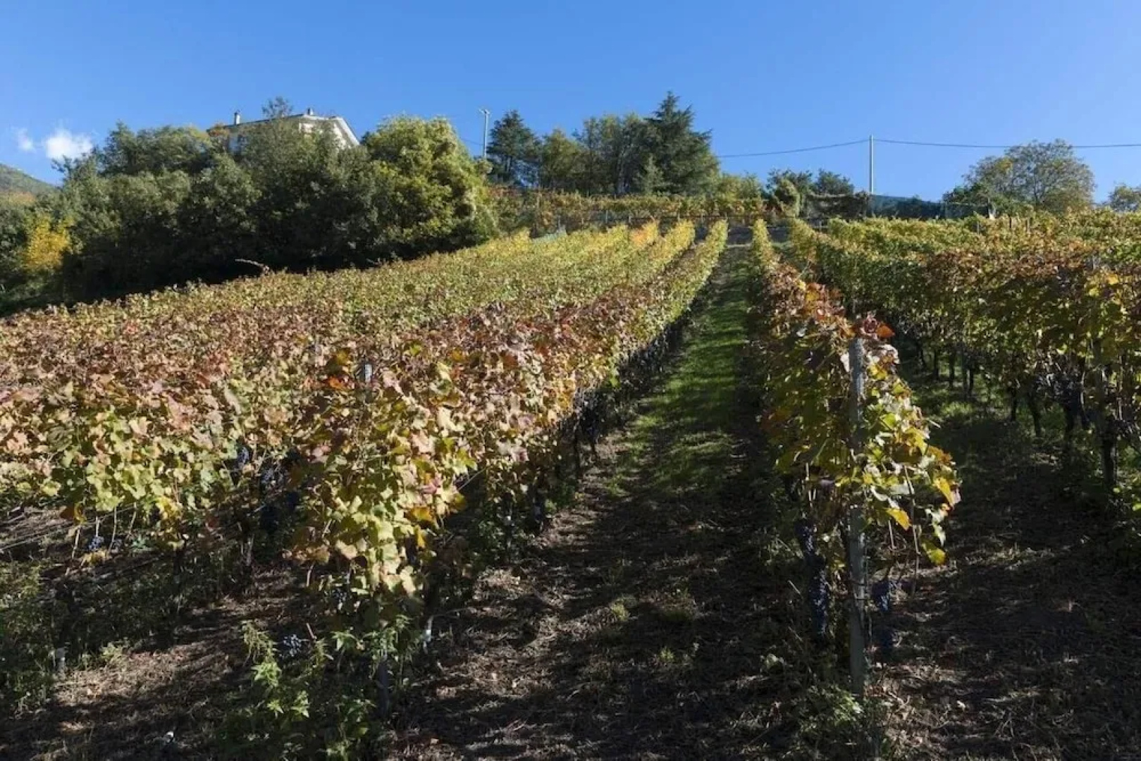 Agriturismo Gli Elfi