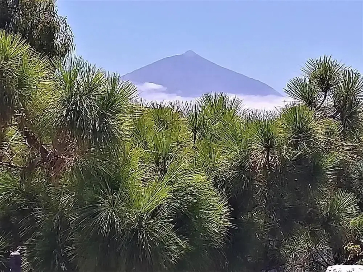 Zen Republic Villa Vista mar