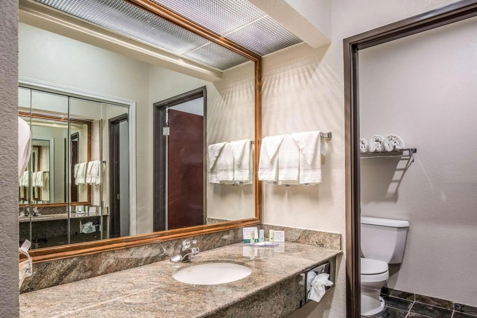 Quality Inn & Suites Seabrook - NASA - Kemah