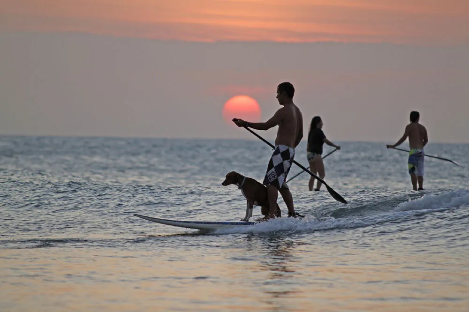 Hostel Jericoacoara