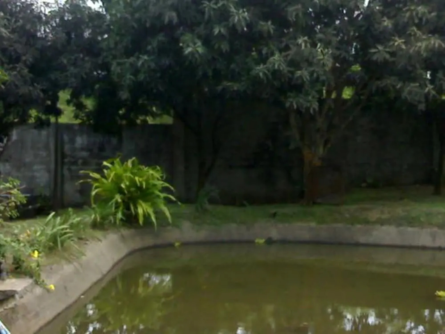 REX Habitat and Cultural Display Area