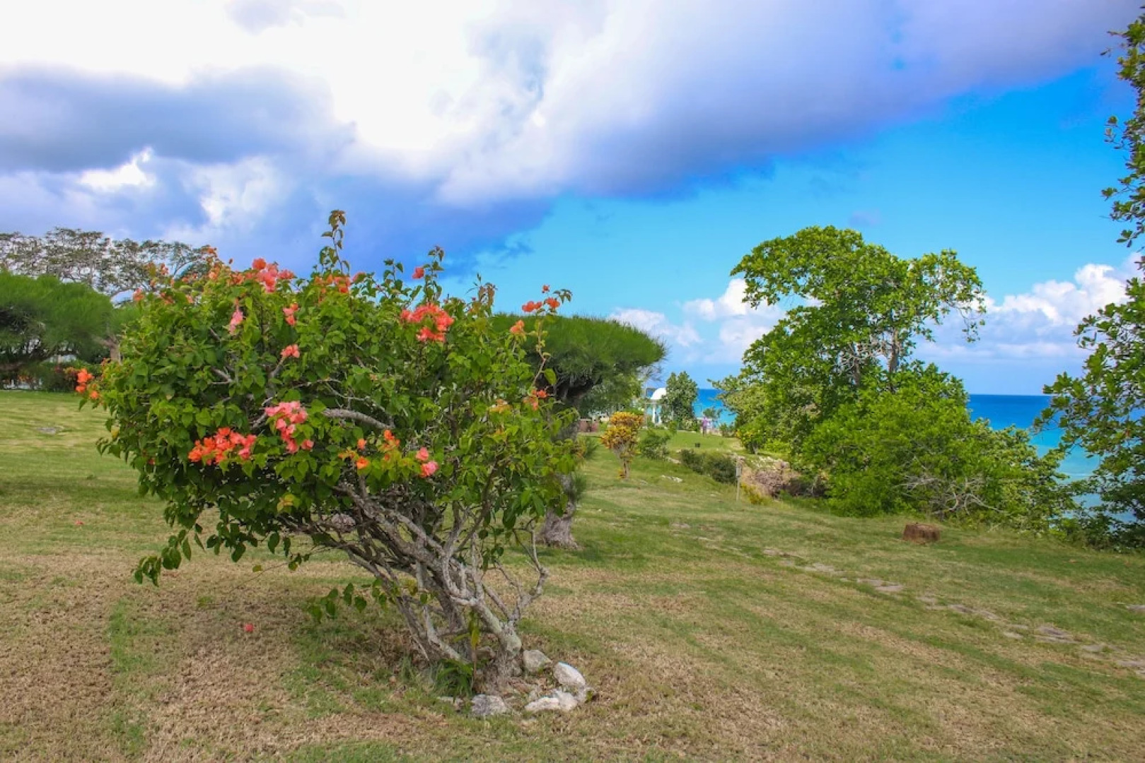 Rica Vista Beach Cottages
