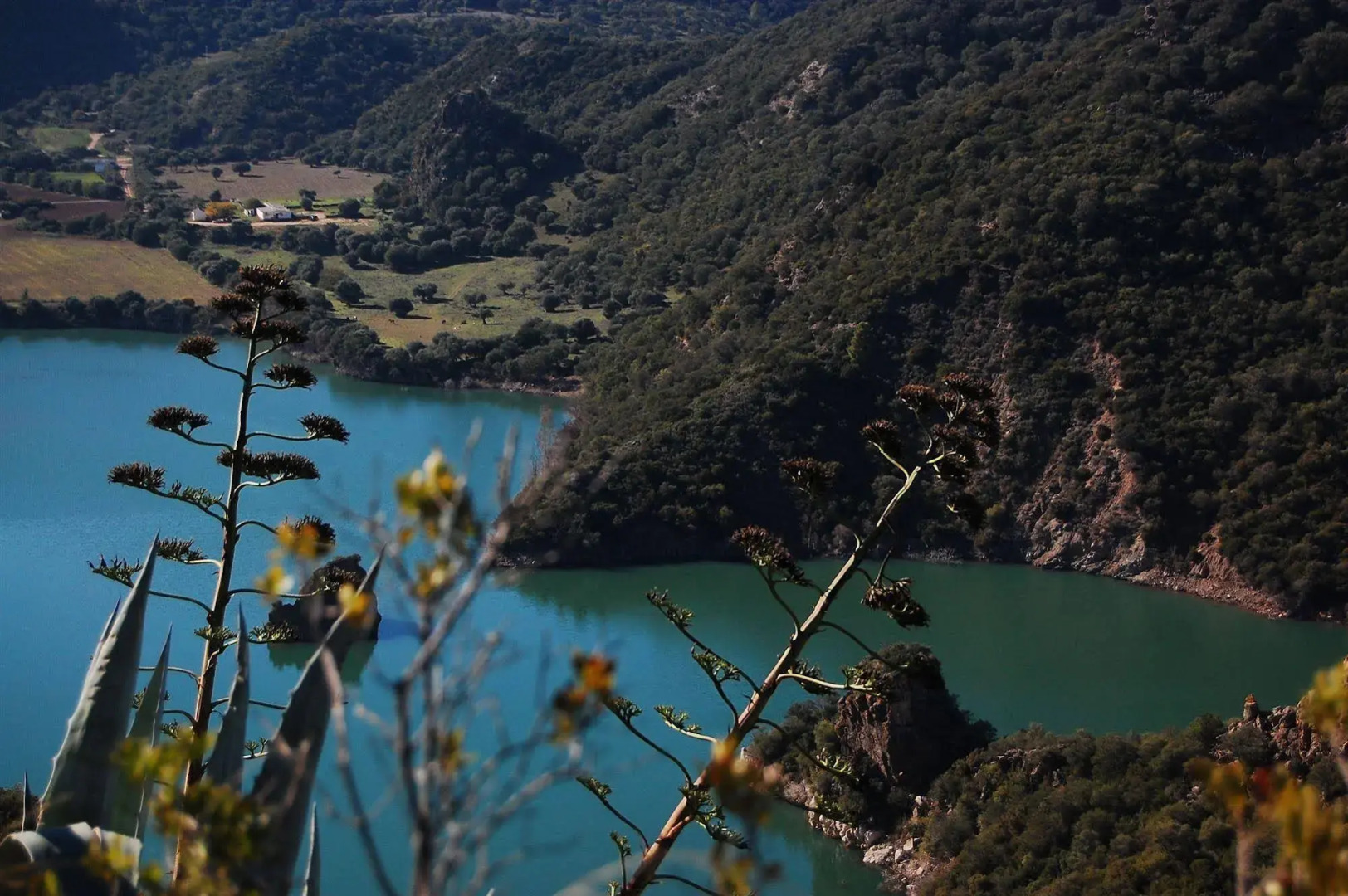 Complejo Tajo del Águila