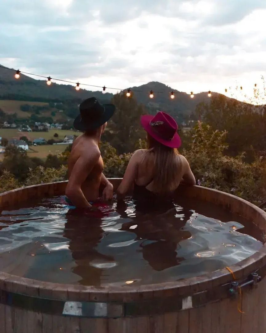 Le Perchoir des Pyrénées