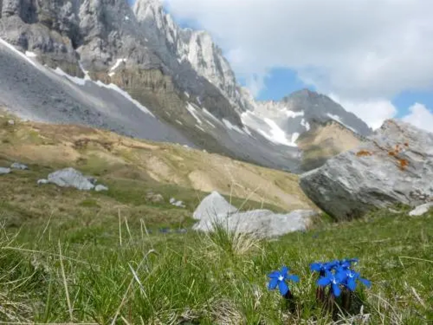 Metsola Apartamentos Rurales