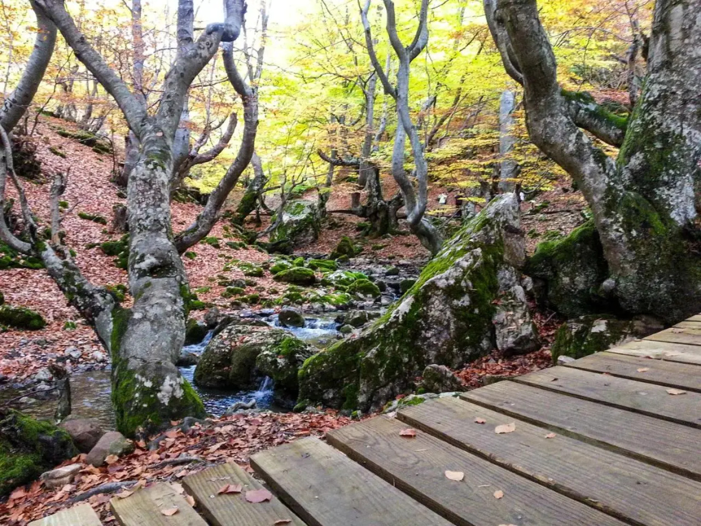 El Molino de la Ropería