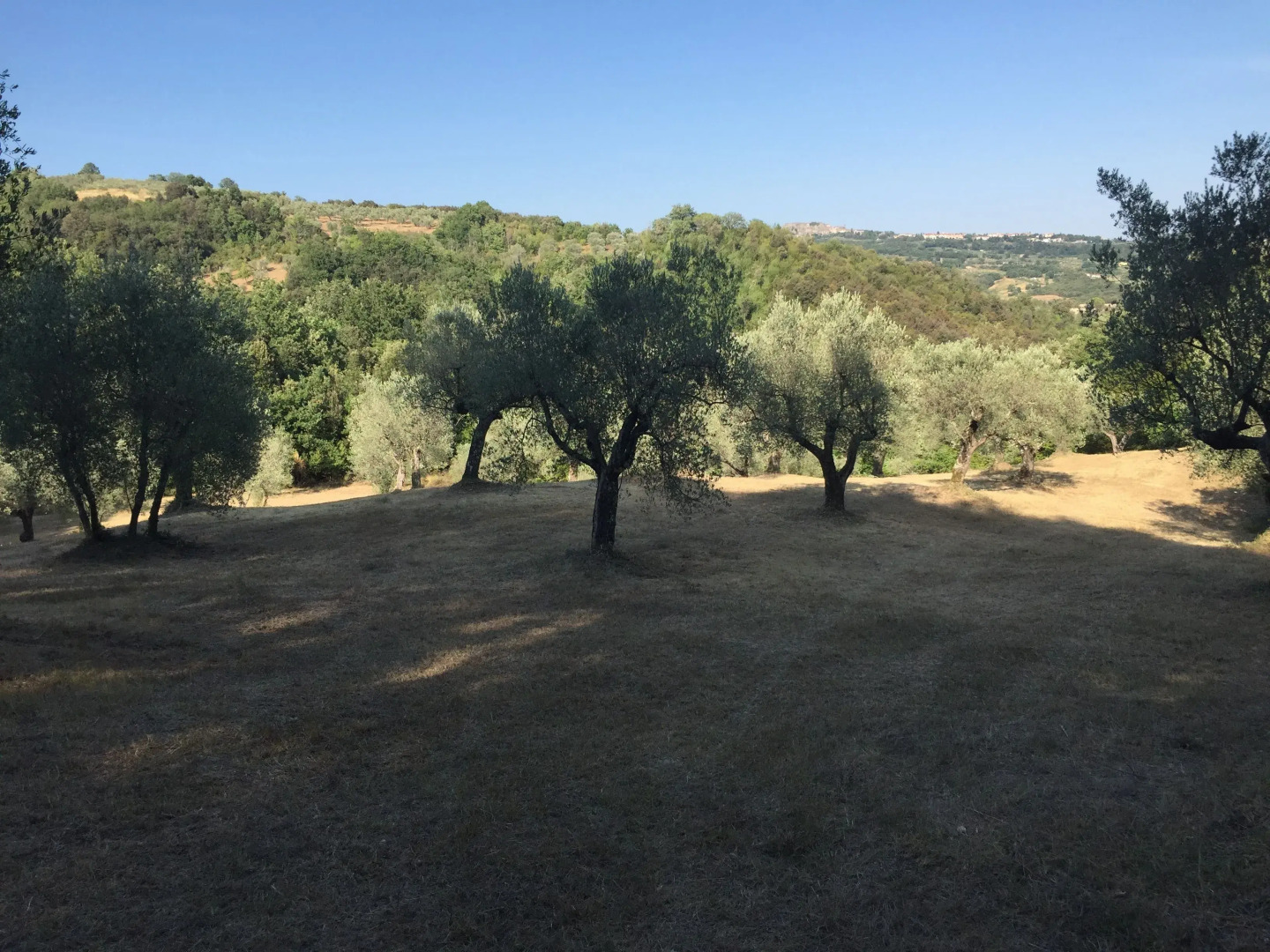 Agriturismo Campo al Crognolo