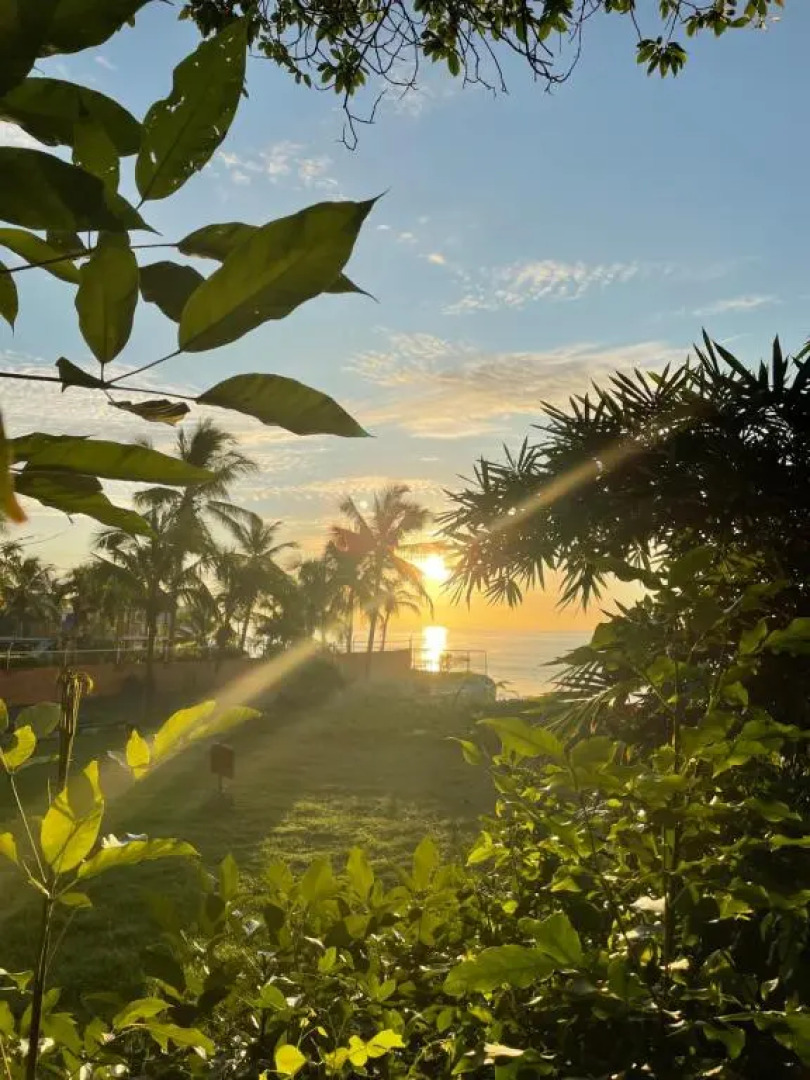 Panama Beach Lodge - Hostel - Adults Only