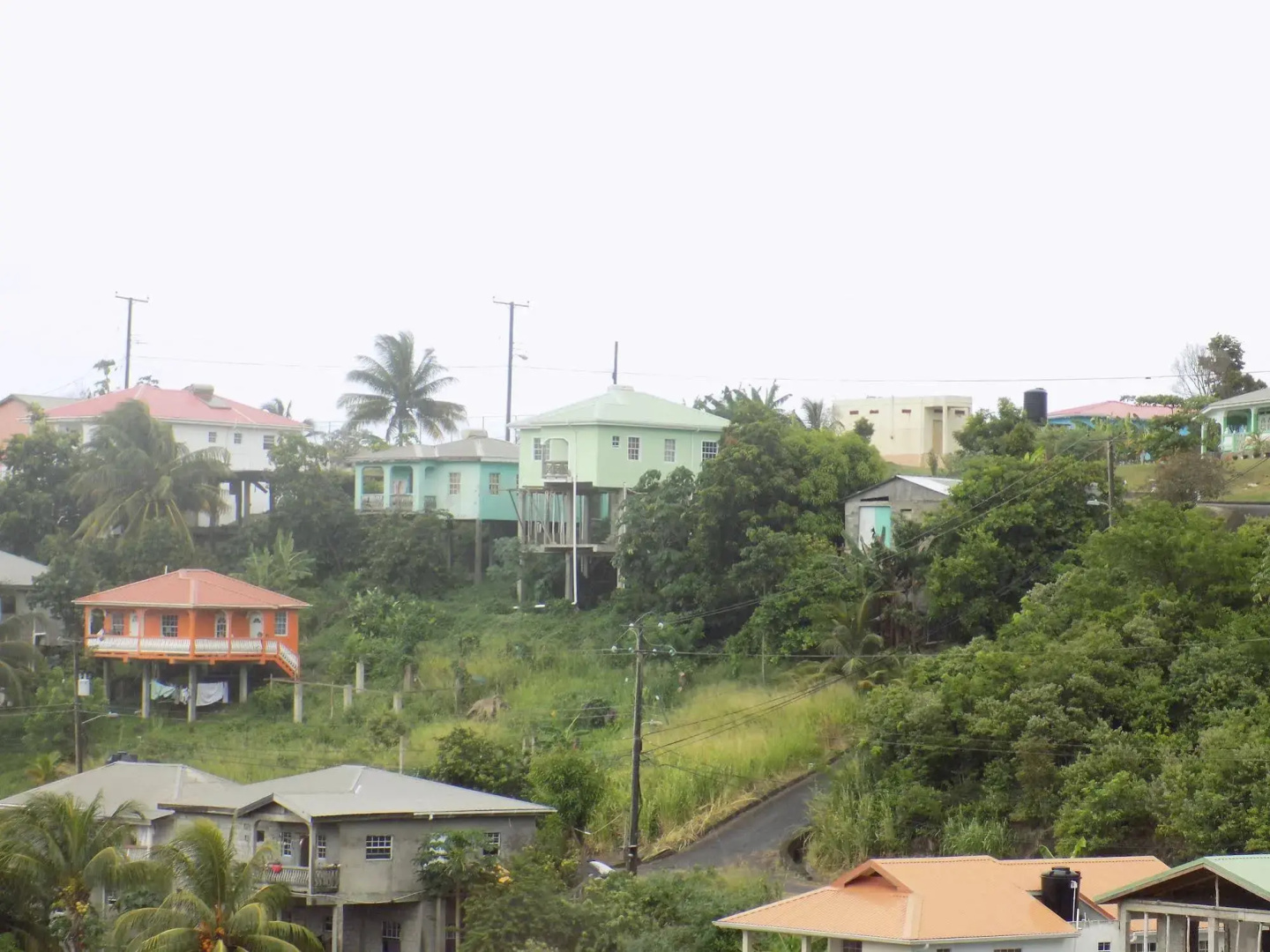 Tropical Paradise View