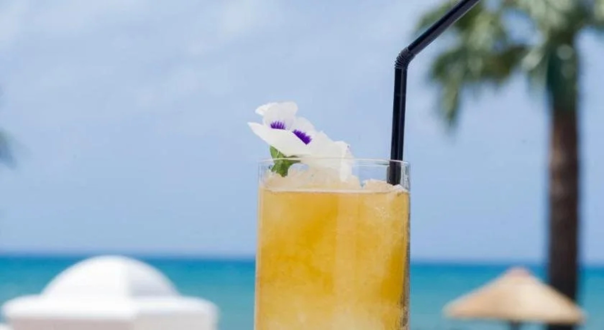 Healthouse Apartments