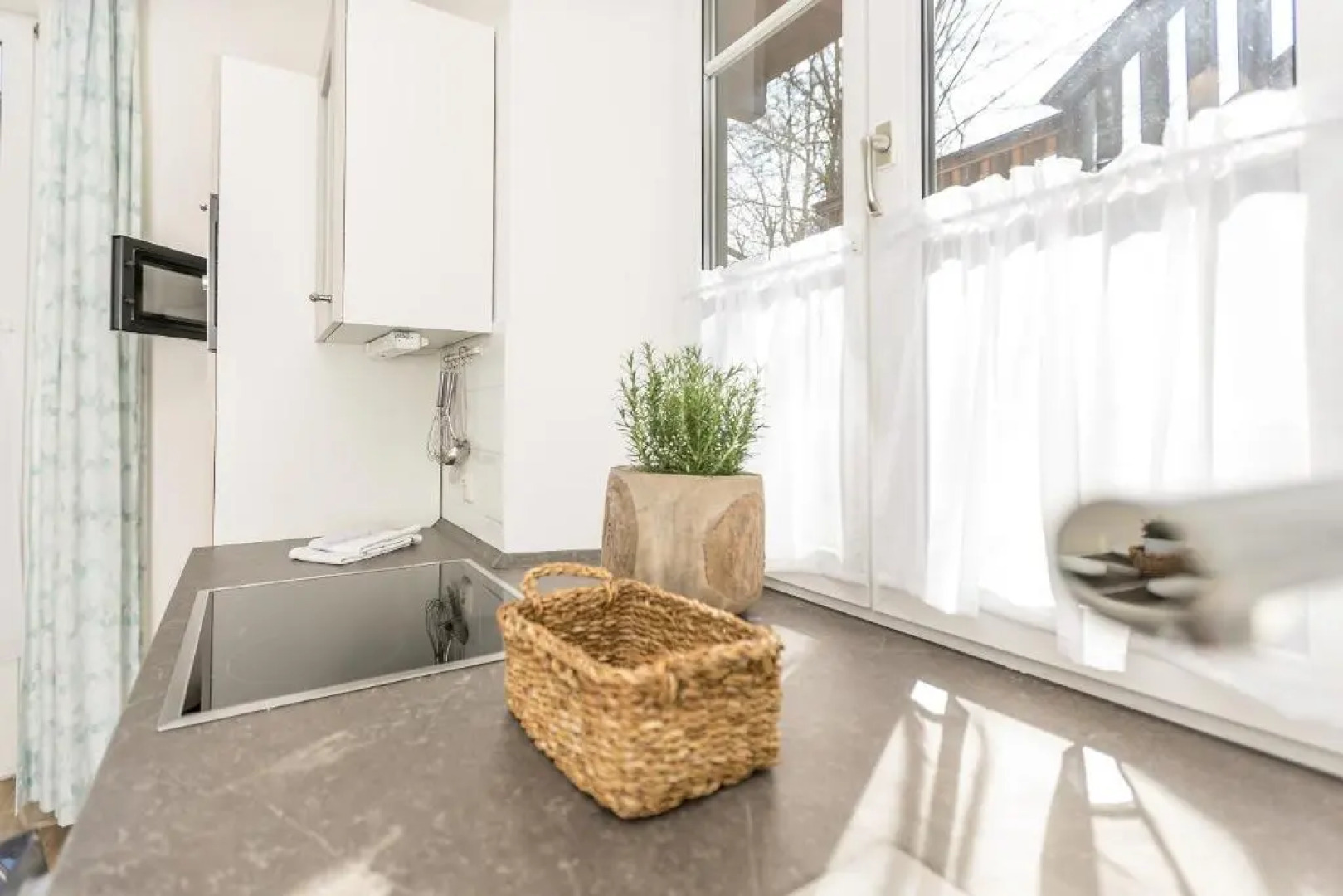 Villa Waldfrieden - Ferienwohnungen und -Haus