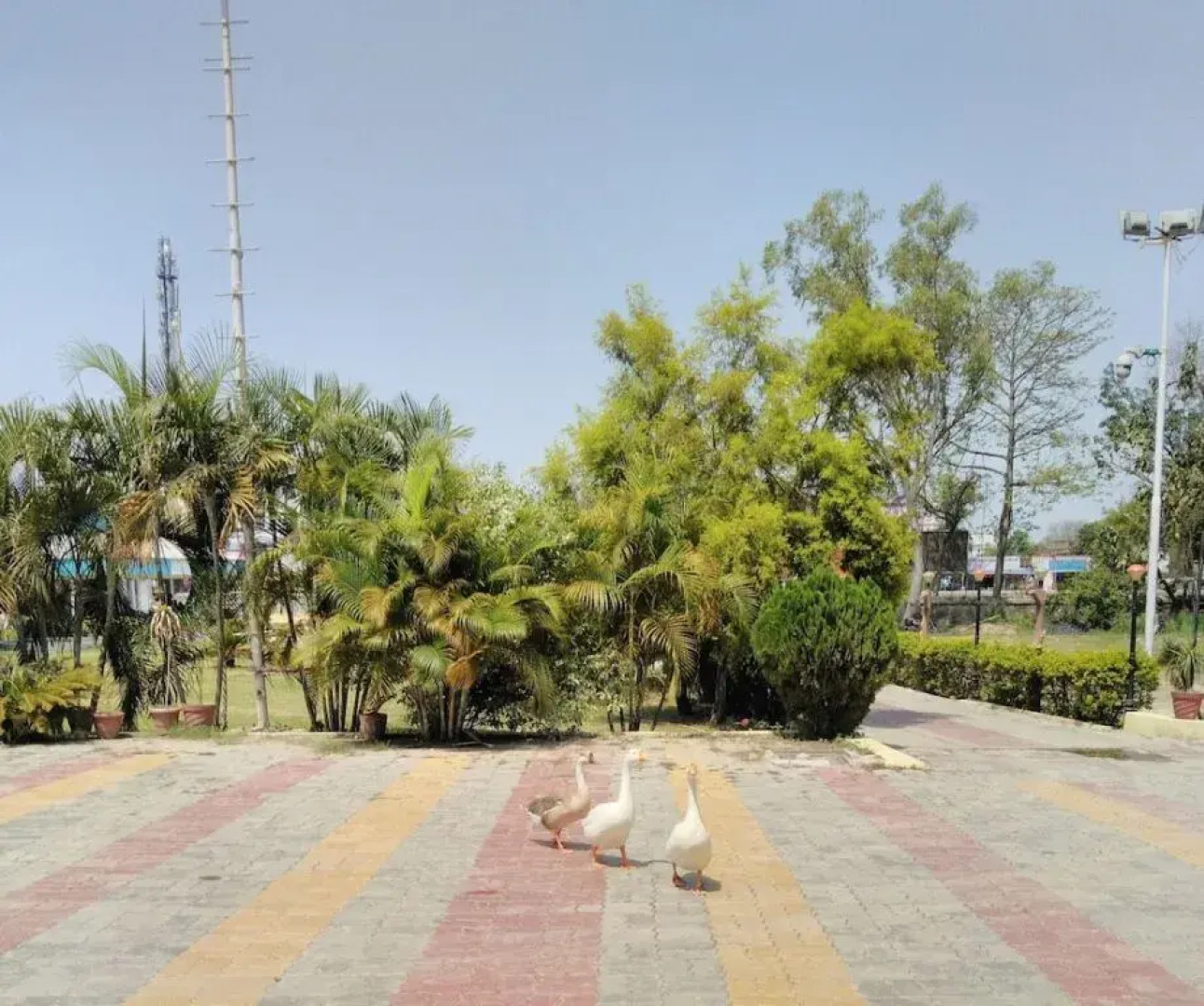 Tahiti Resorts Pvt Ltd.