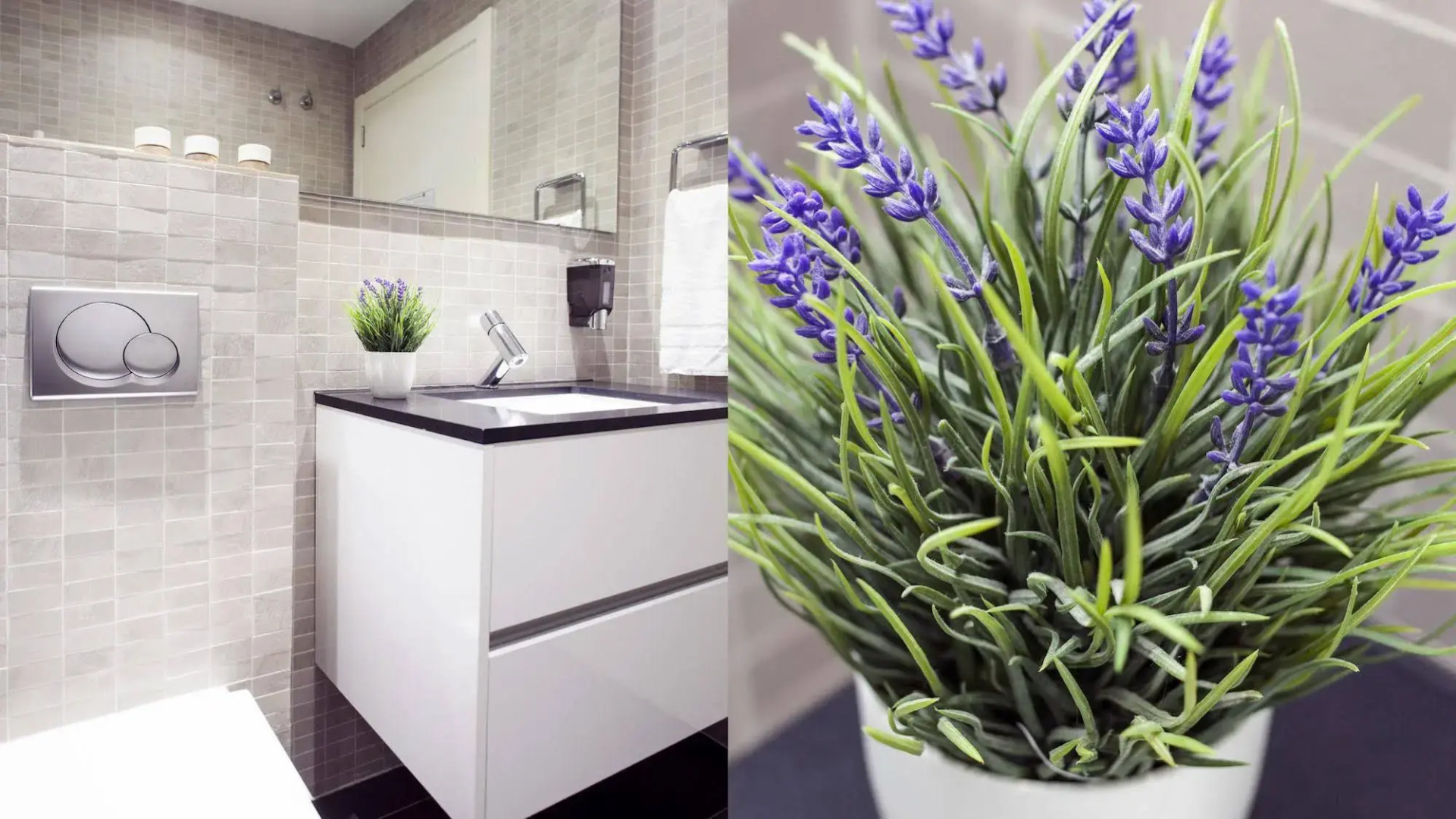 Aspasios Paseo de Gracia Apartments