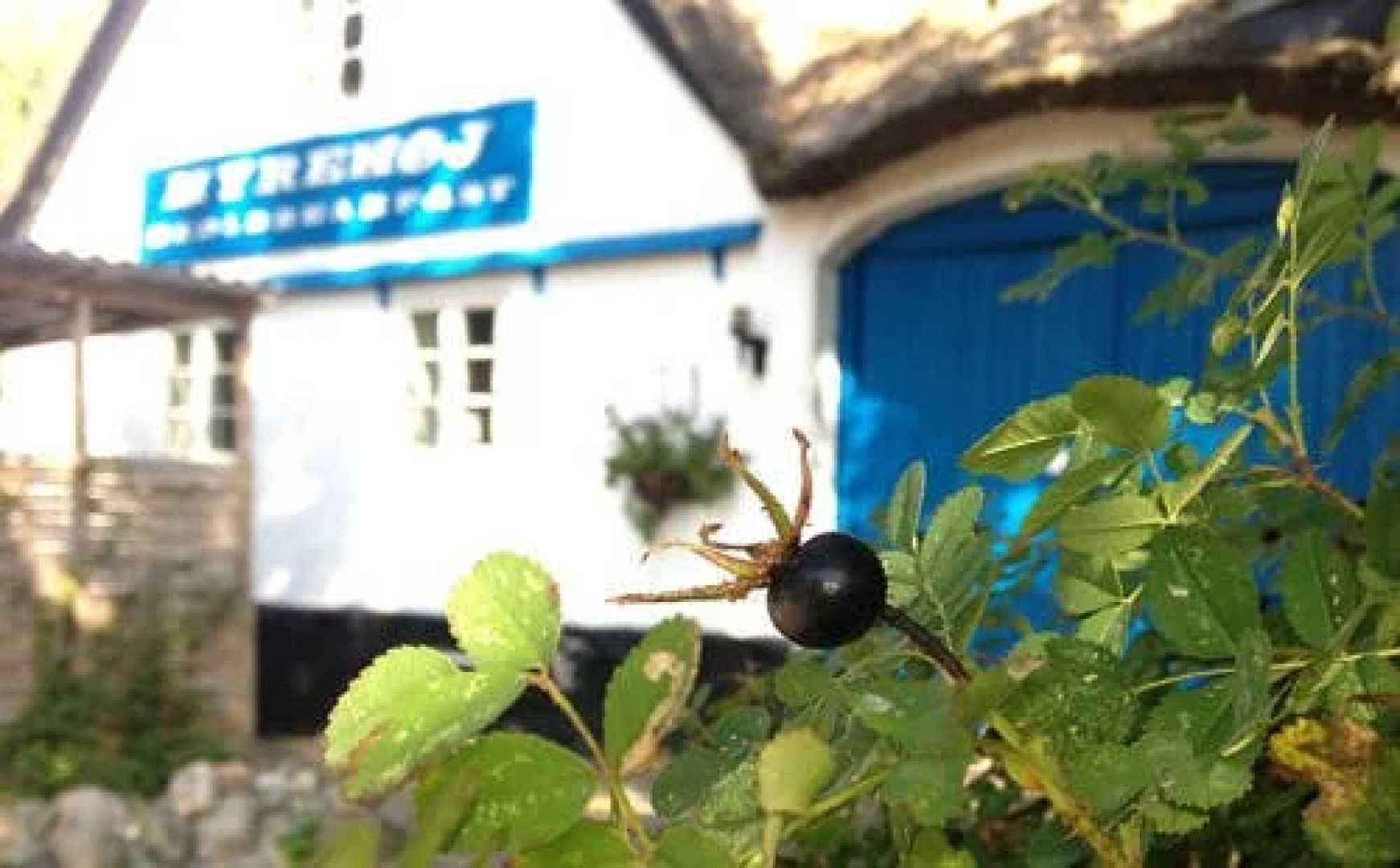 Myrehøj Bed & Breakfast